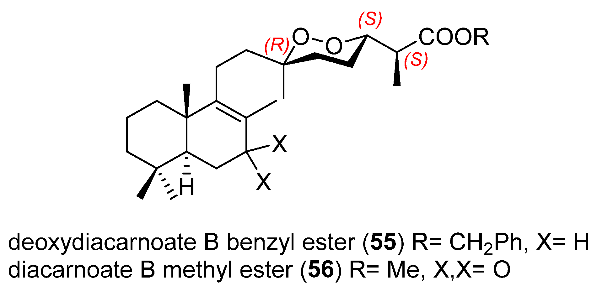Marinedrugs 19 00661 g013