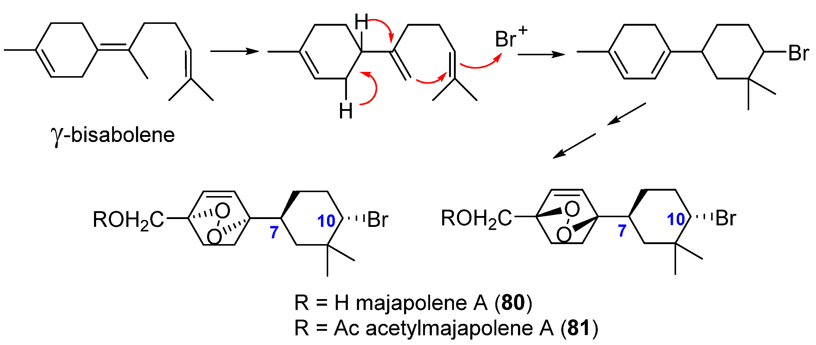 Marinedrugs 19 00661 g018