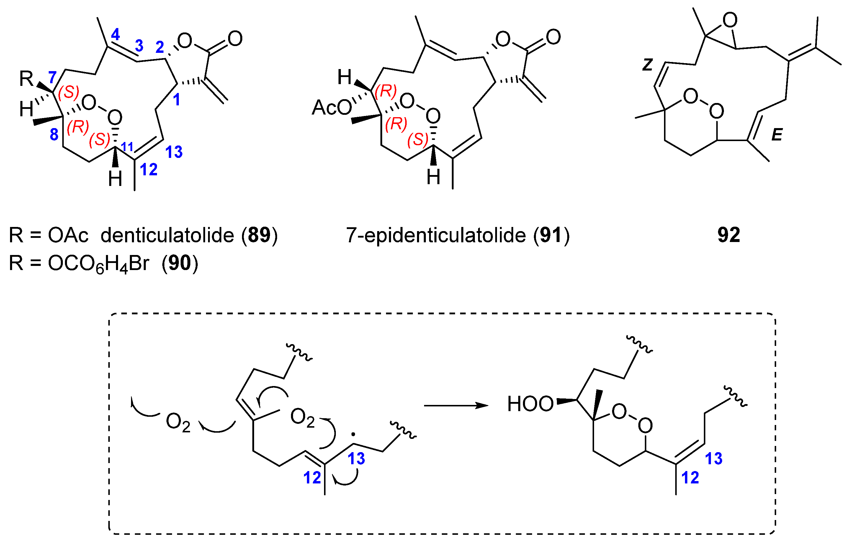 Marinedrugs 19 00661 g020