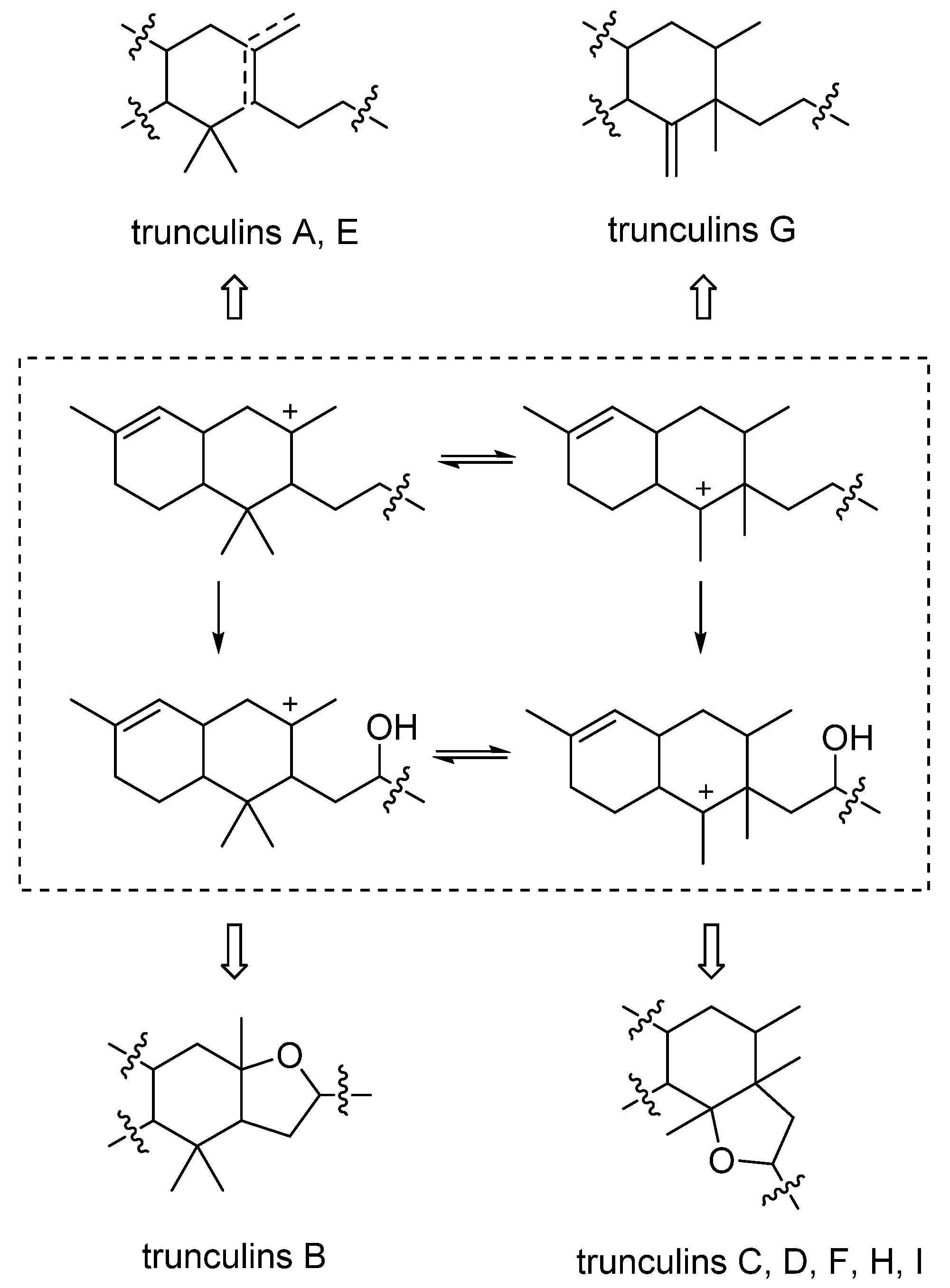 Marinedrugs 19 00661 sch002