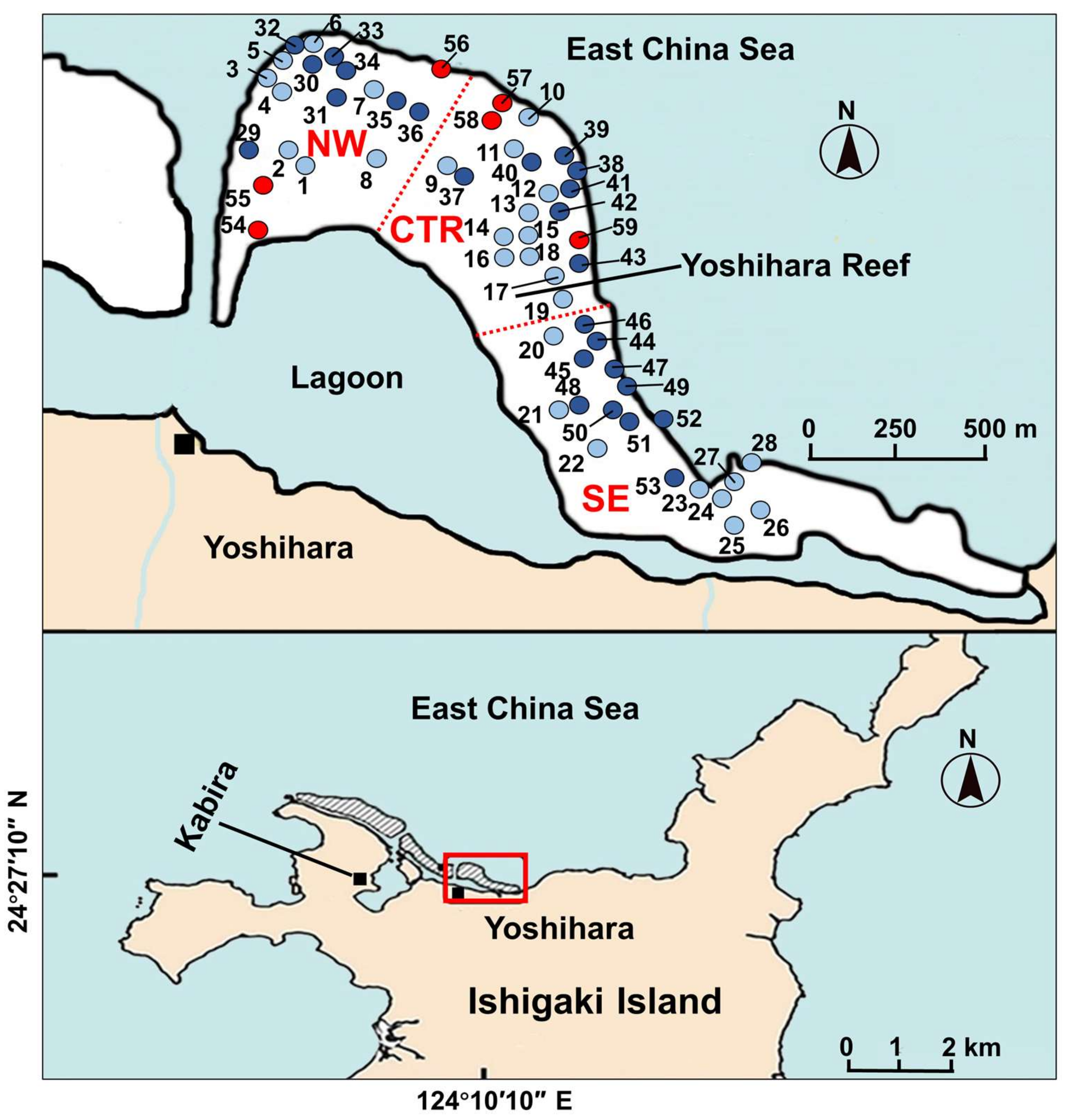 Marinedrugs 19 00670 g002