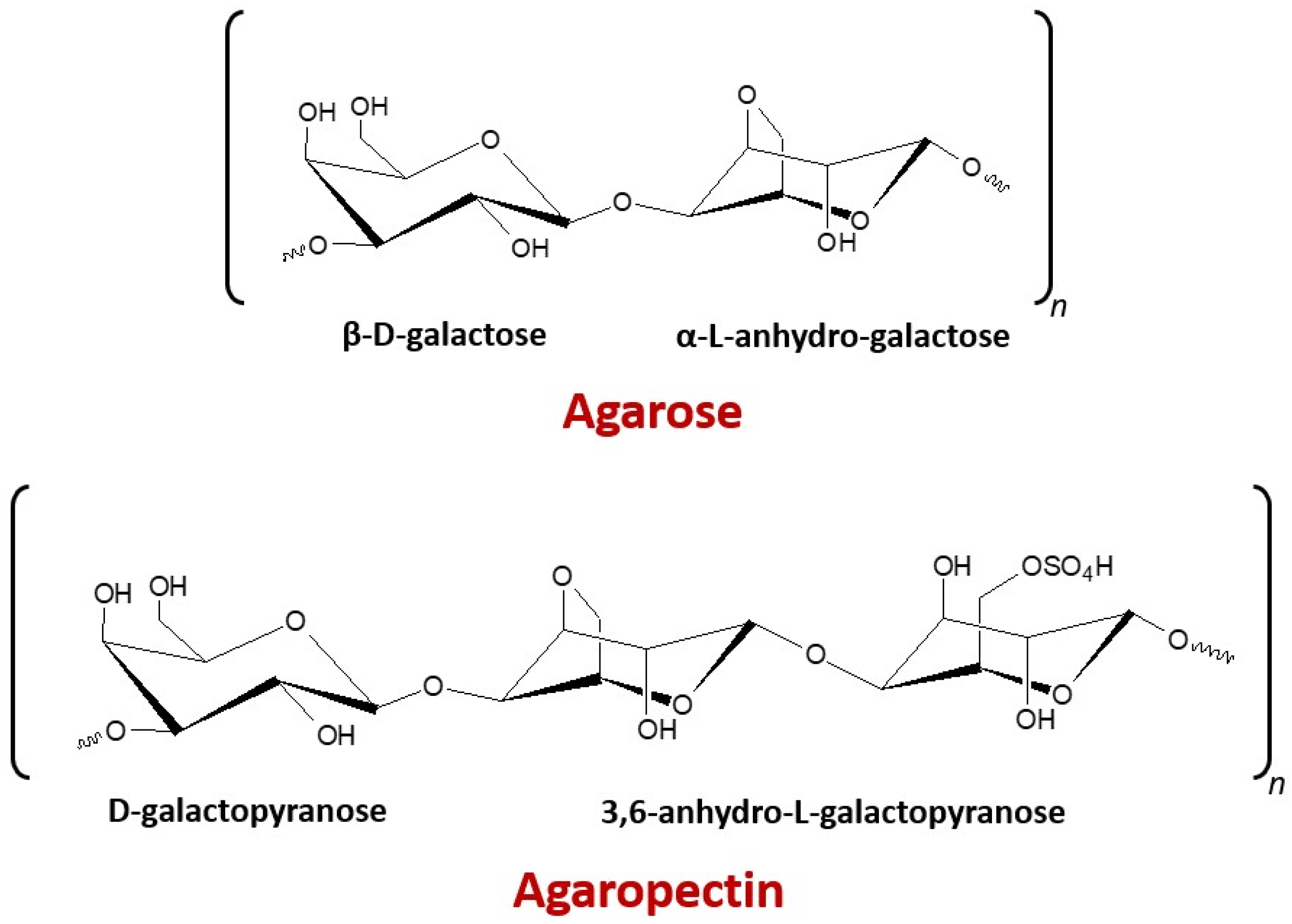 Marinedrugs 19 00672 g001