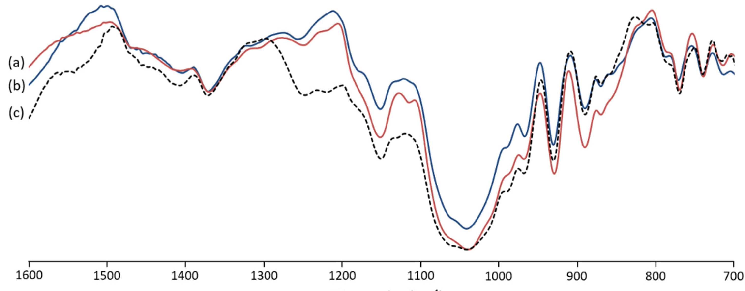 Marinedrugs 19 00672 g002