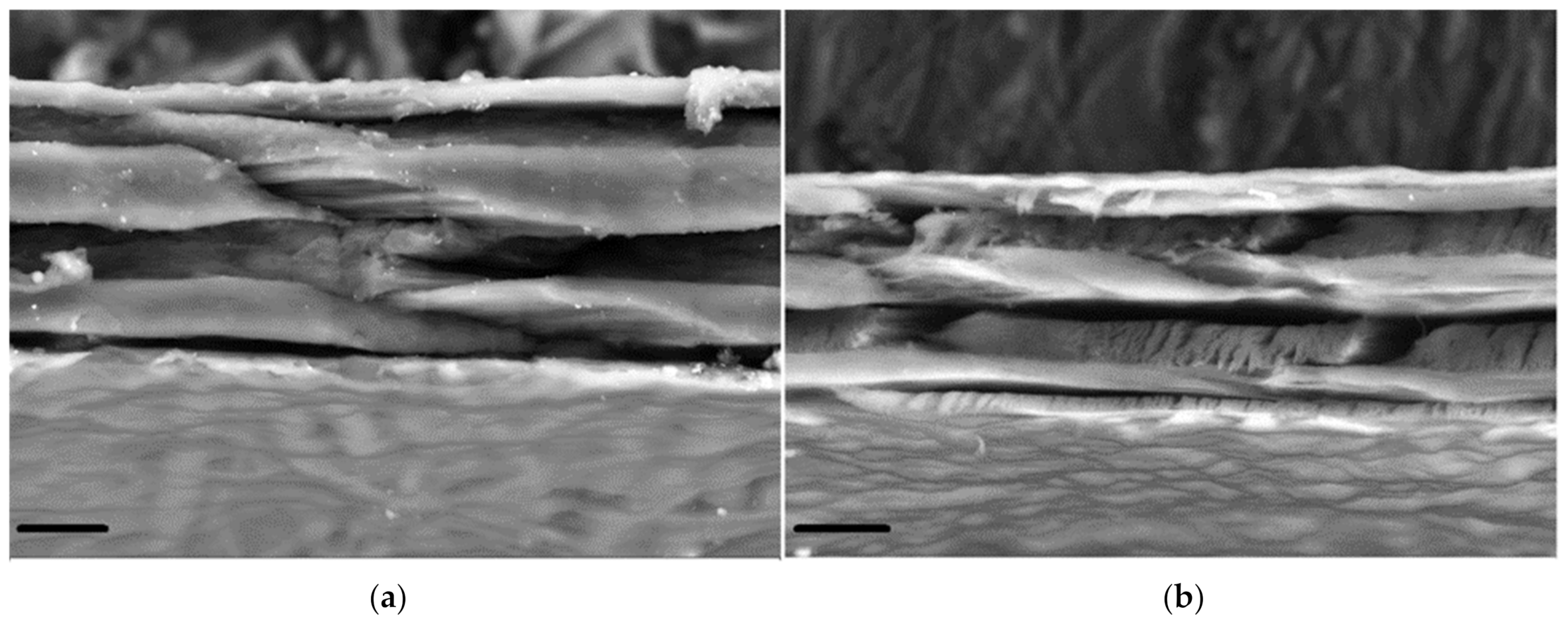 Marinedrugs 19 00679 g007