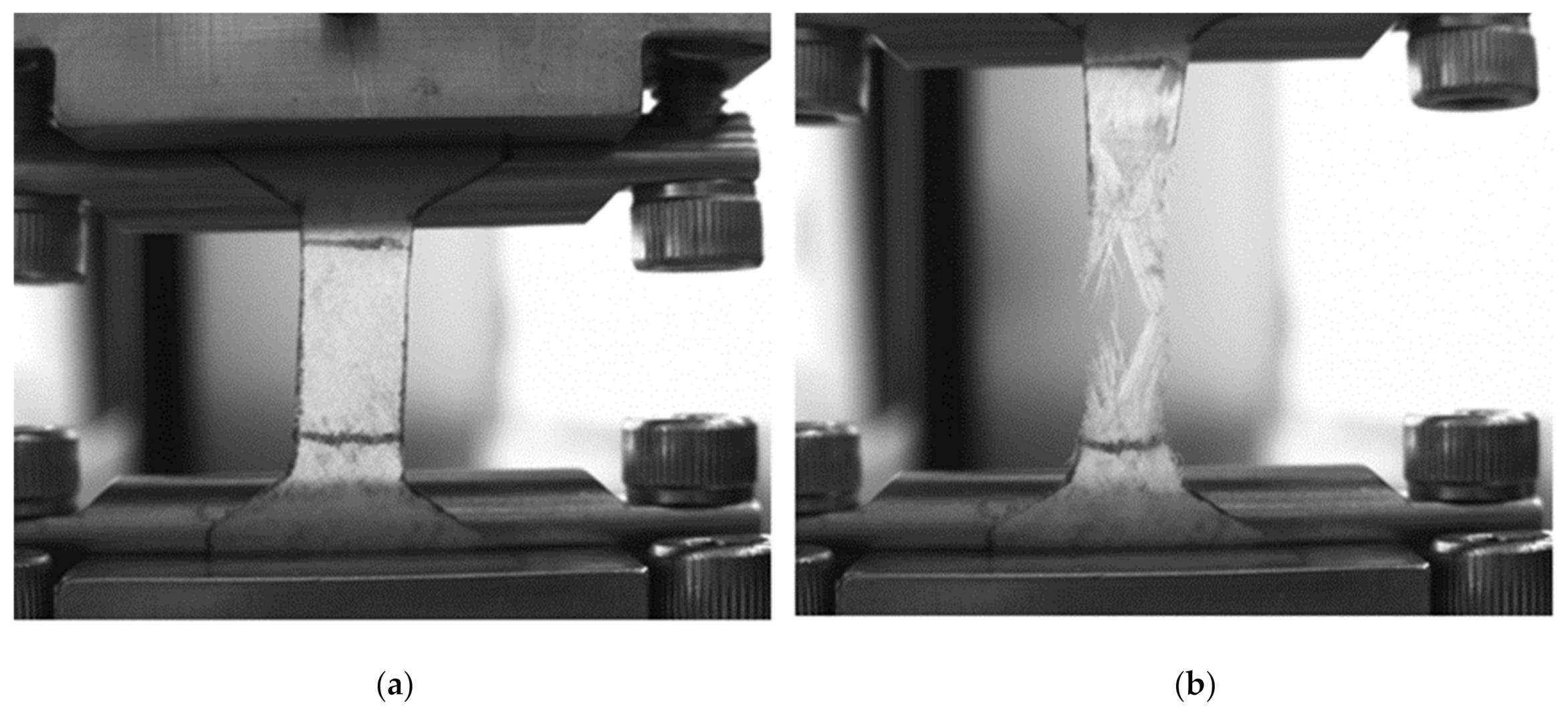 Marinedrugs 19 00679 g012