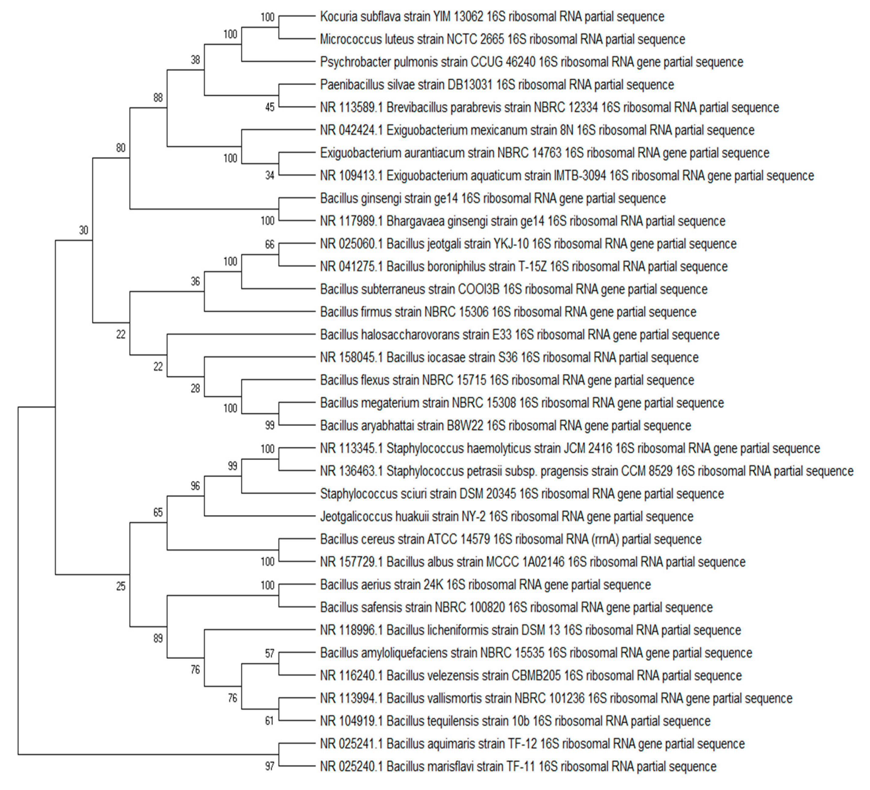 Marinedrugs 19 00681 g001