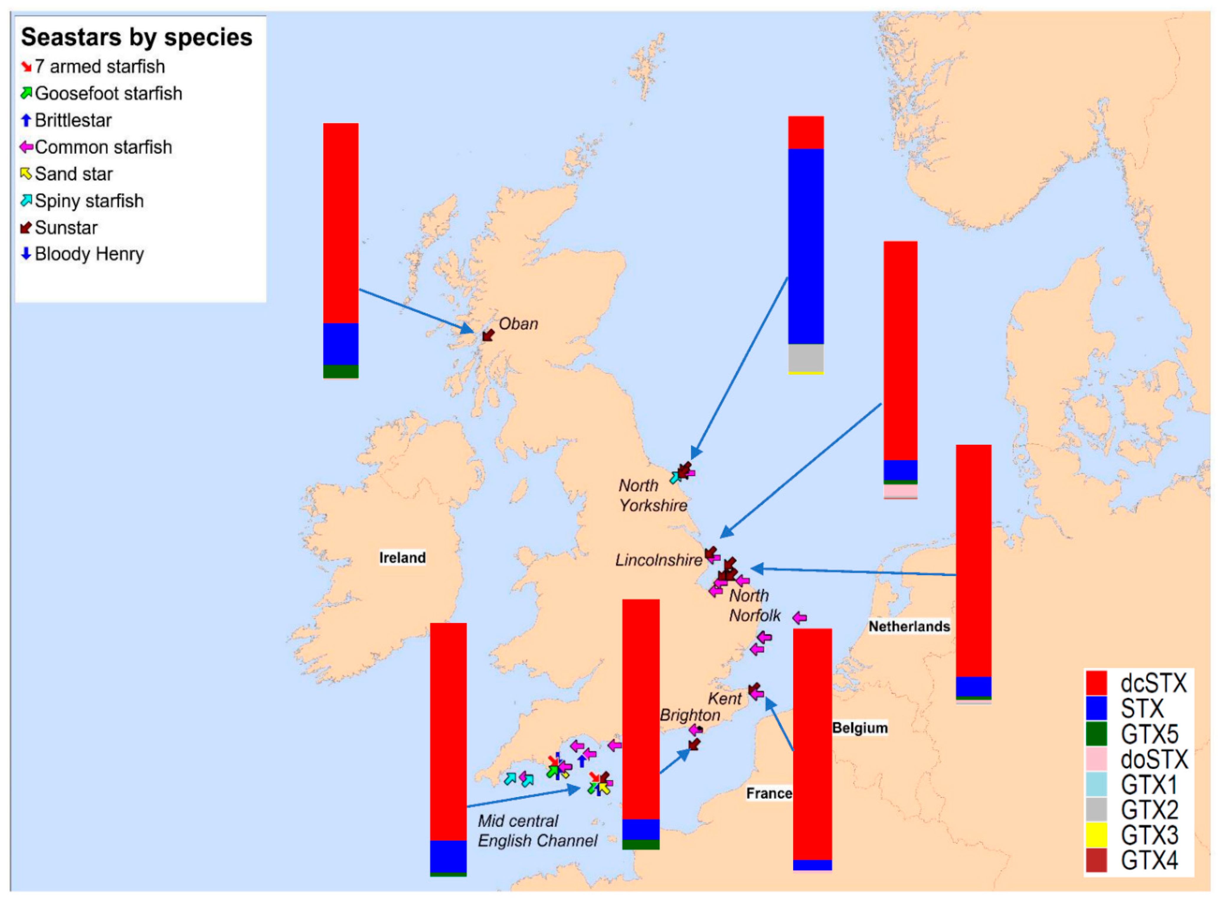 Marinedrugs 19 00695 g002