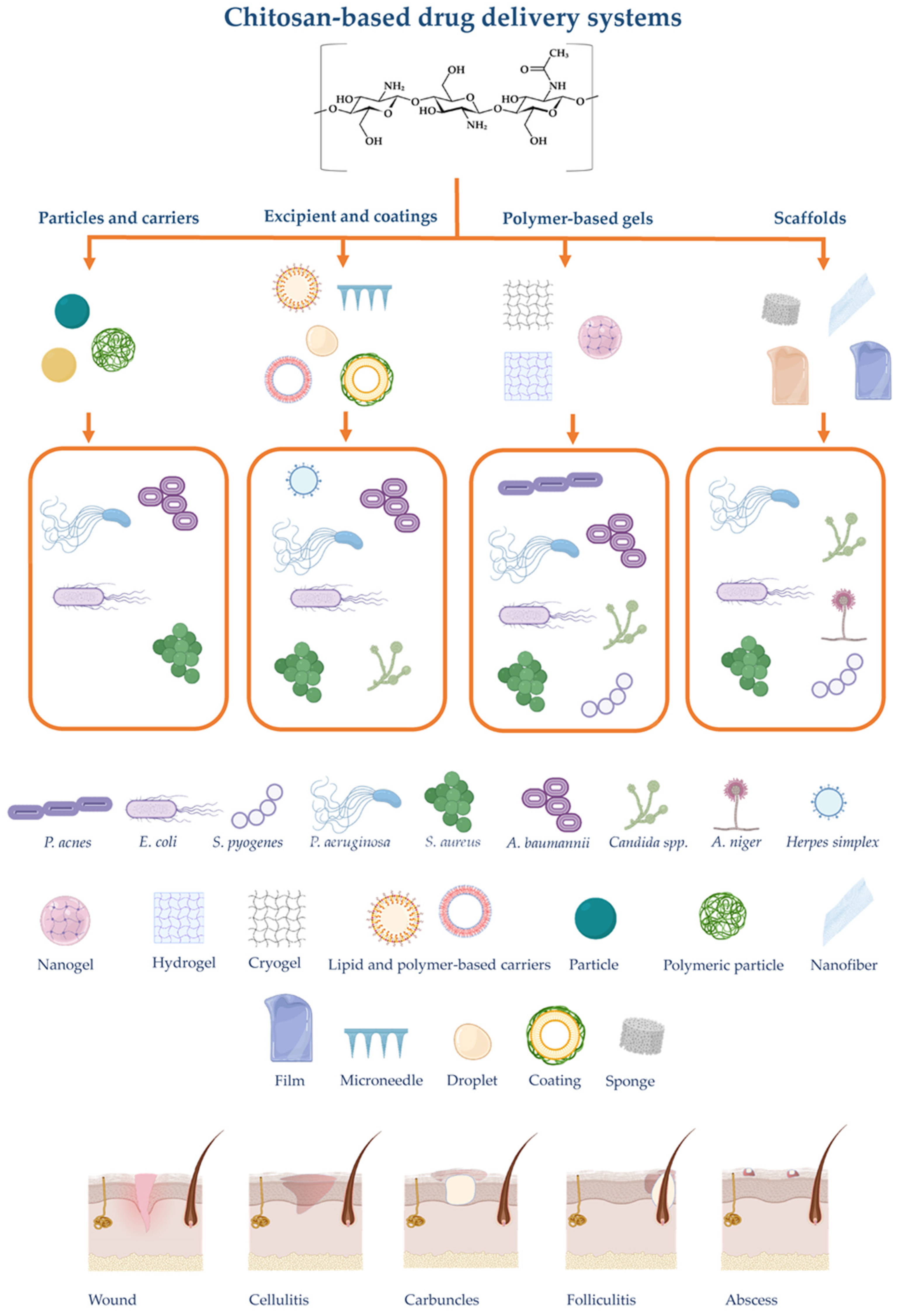 Marinedrugs 19 00697 g002