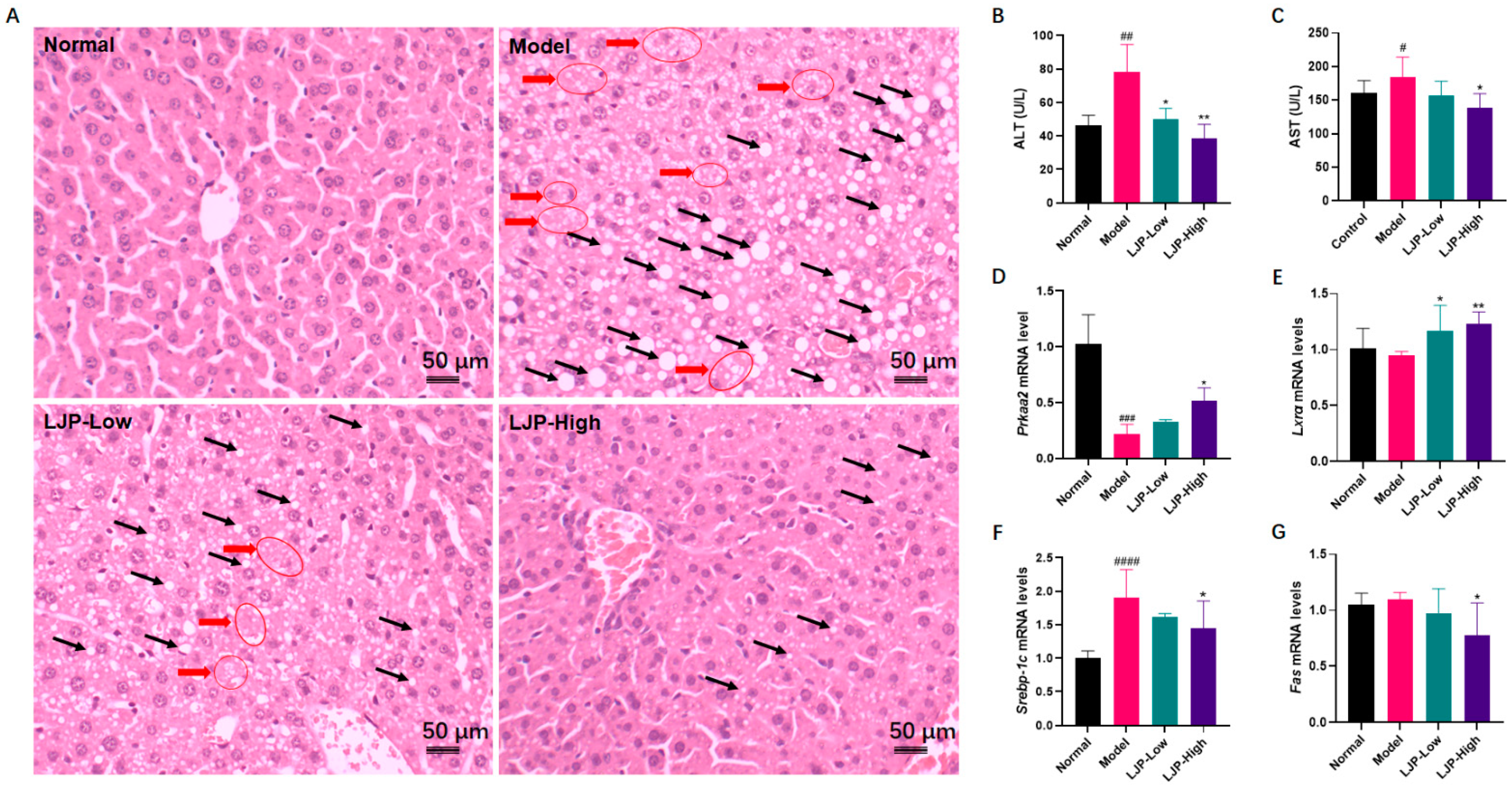 Marinedrugs 19 00699 g004