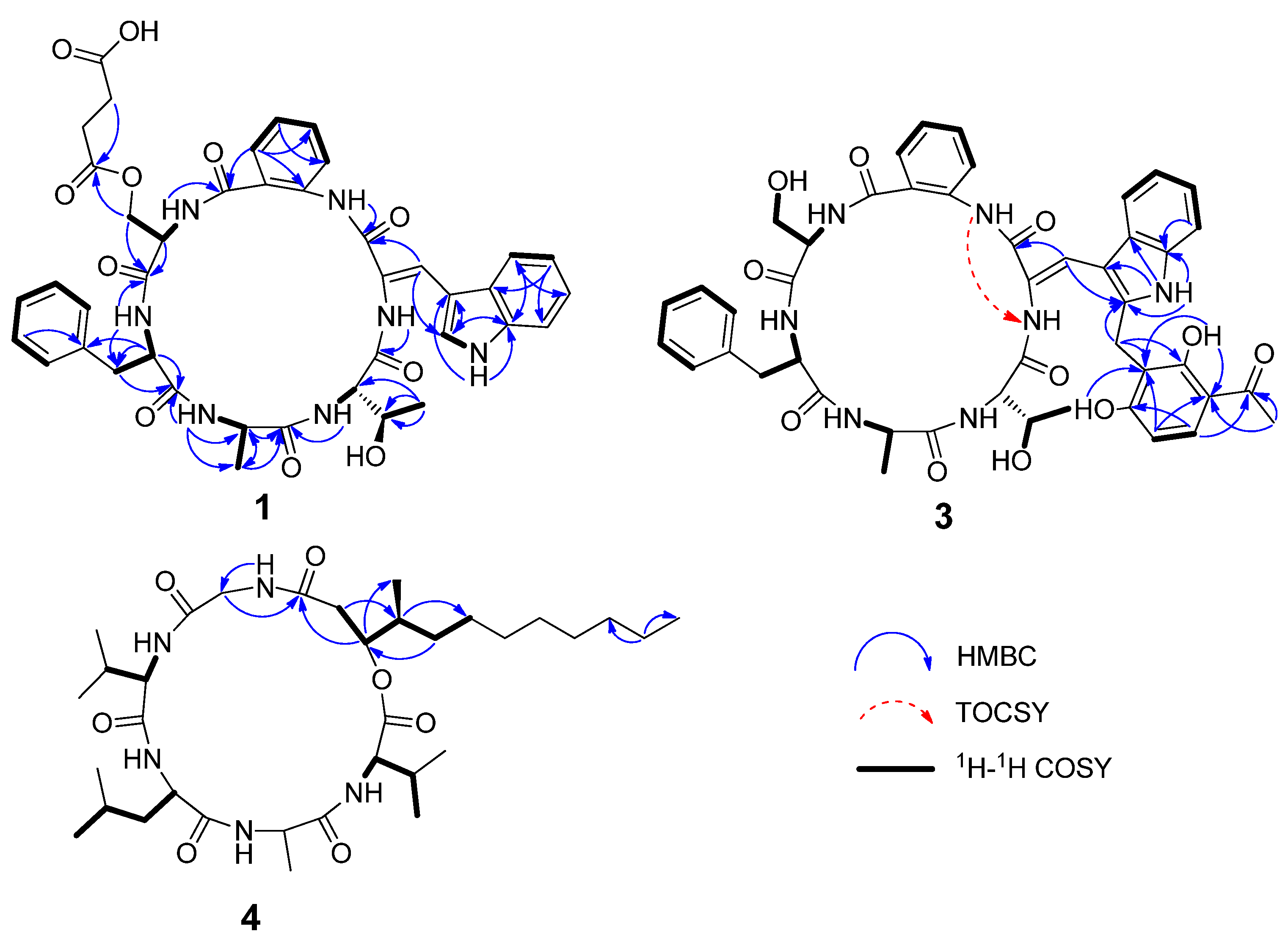 Marinedrugs 19 00701 g002 Marinedrugs 19 00701 g002