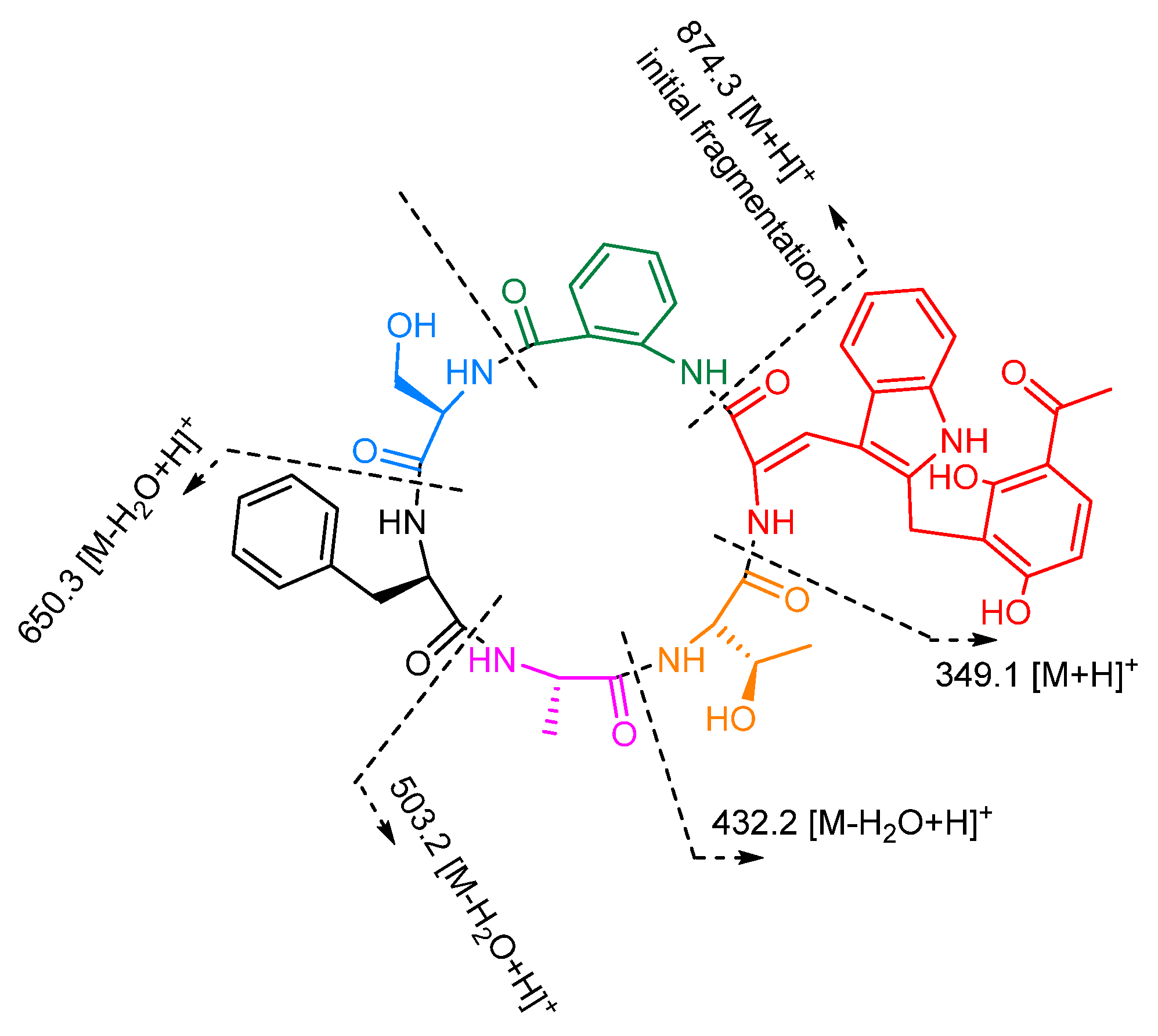 Marinedrugs 19 00701 g005 Marinedrugs 19 00701 g005