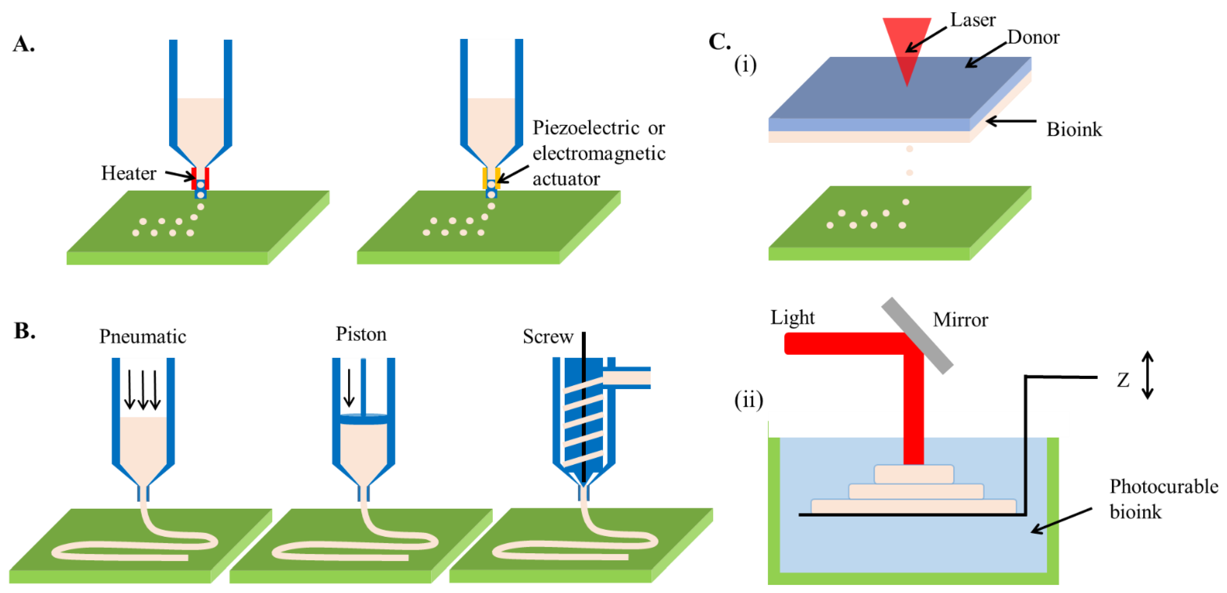 Marinedrugs 19 00708 g002