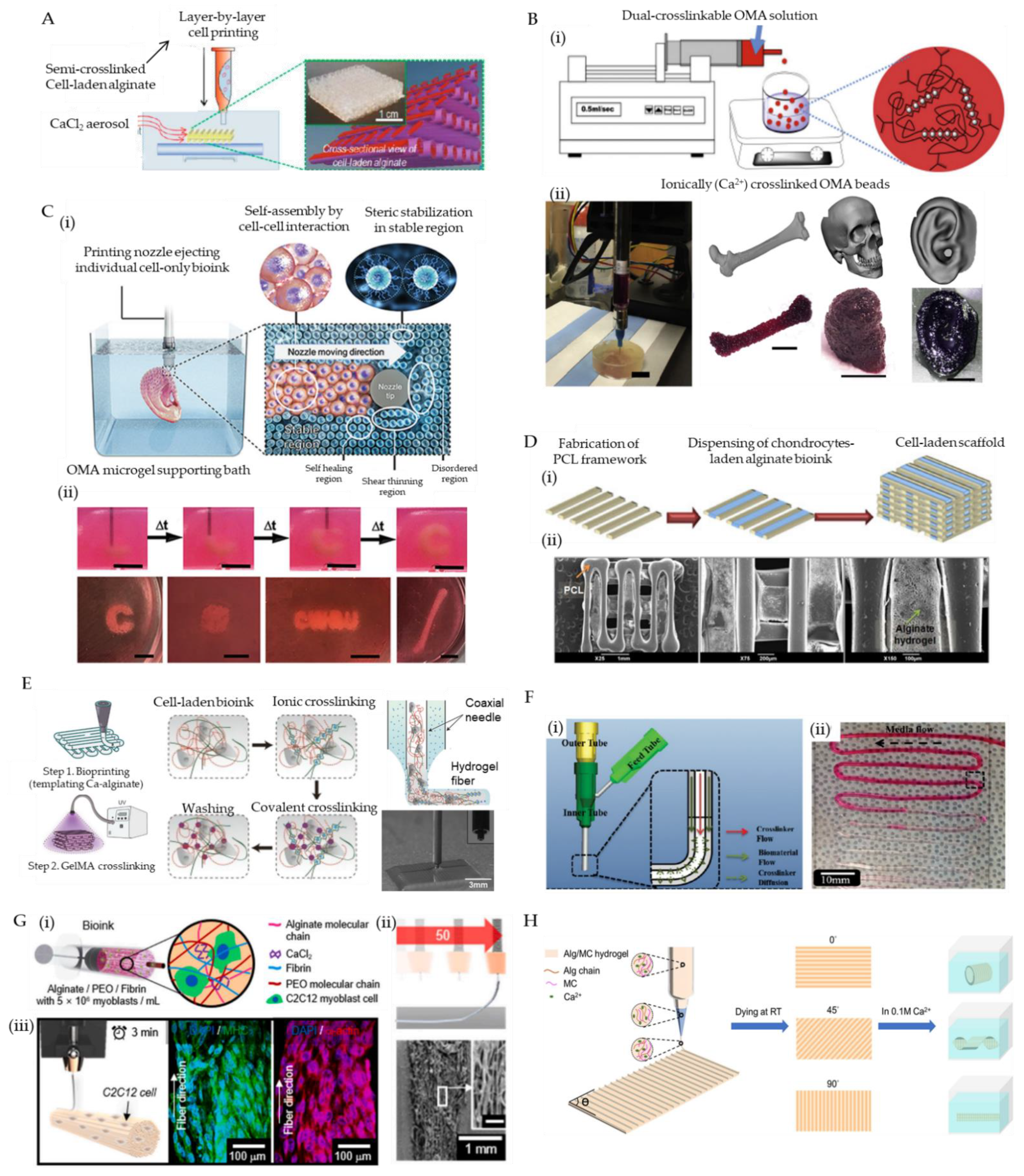 Marinedrugs 19 00708 g003