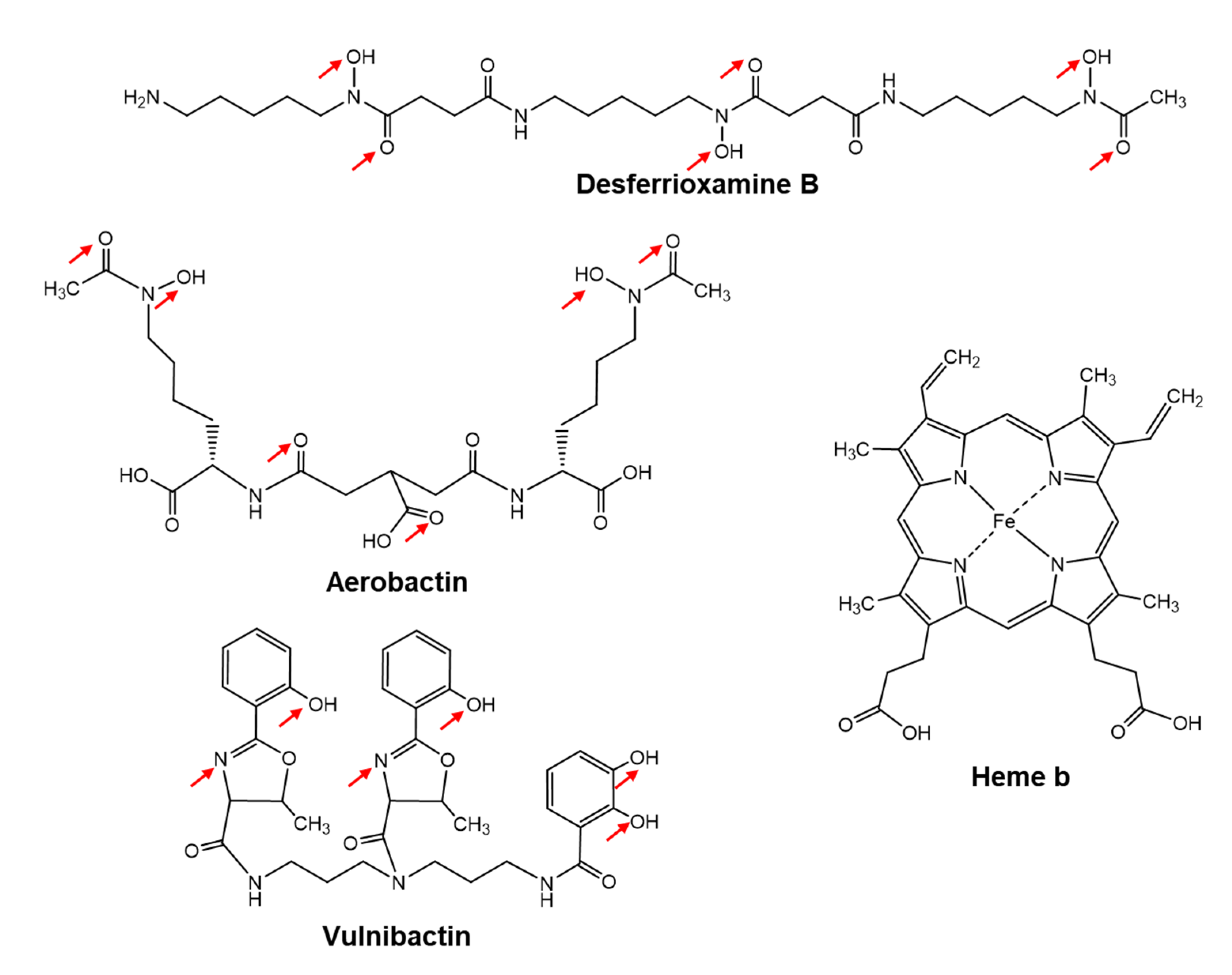 Marinedrugs 19 00710 g002