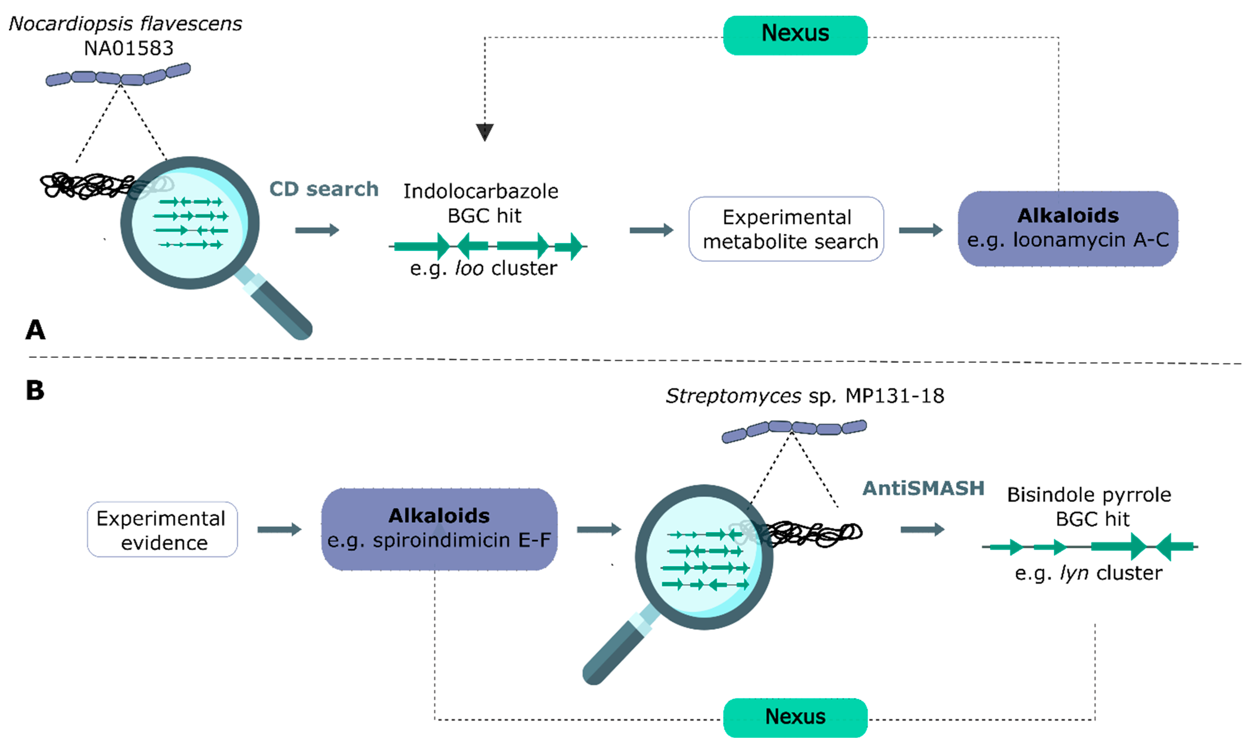 Marinedrugs 20 00006 g014