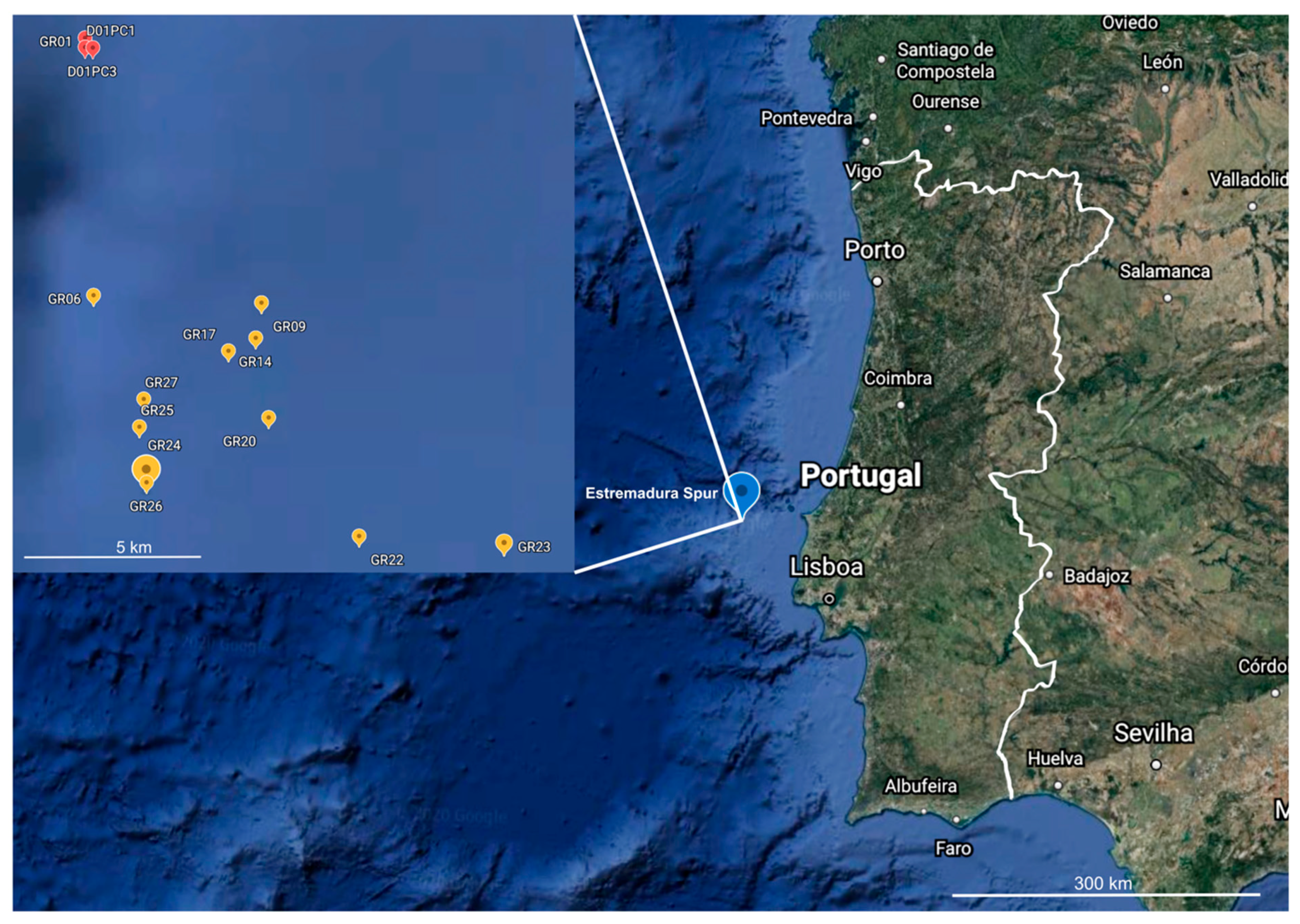 Marinedrugs 20 00021 g001