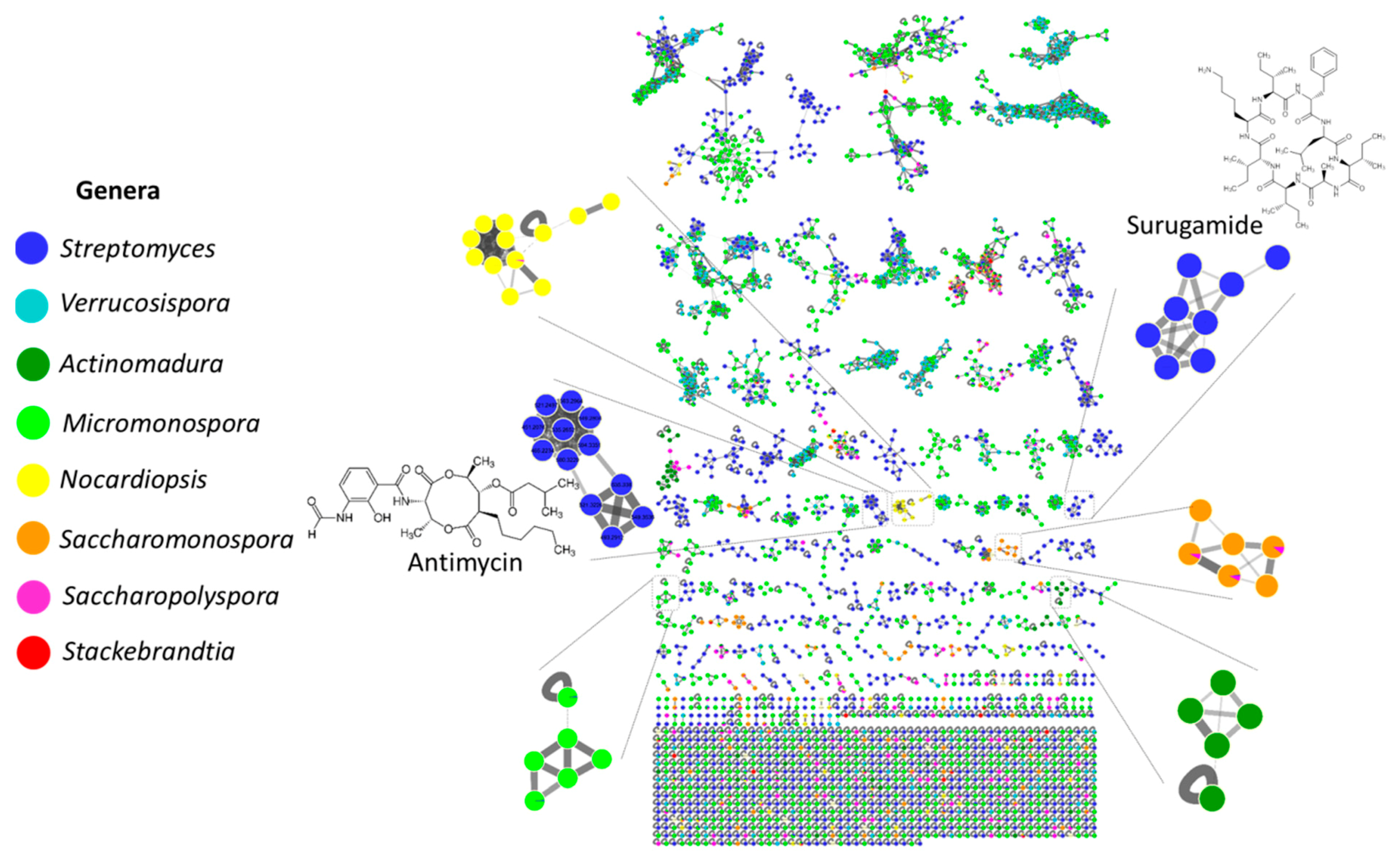 Marinedrugs 20 00021 g006