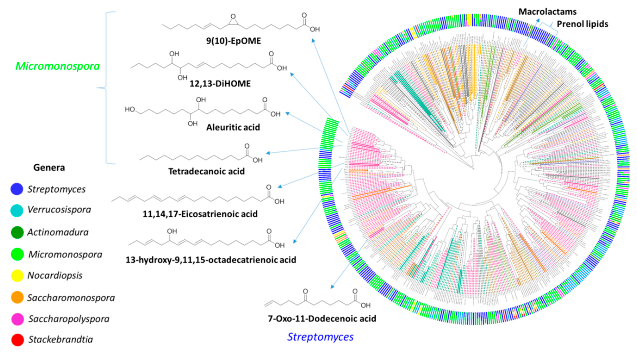 Marinedrugs 20 00021 g008