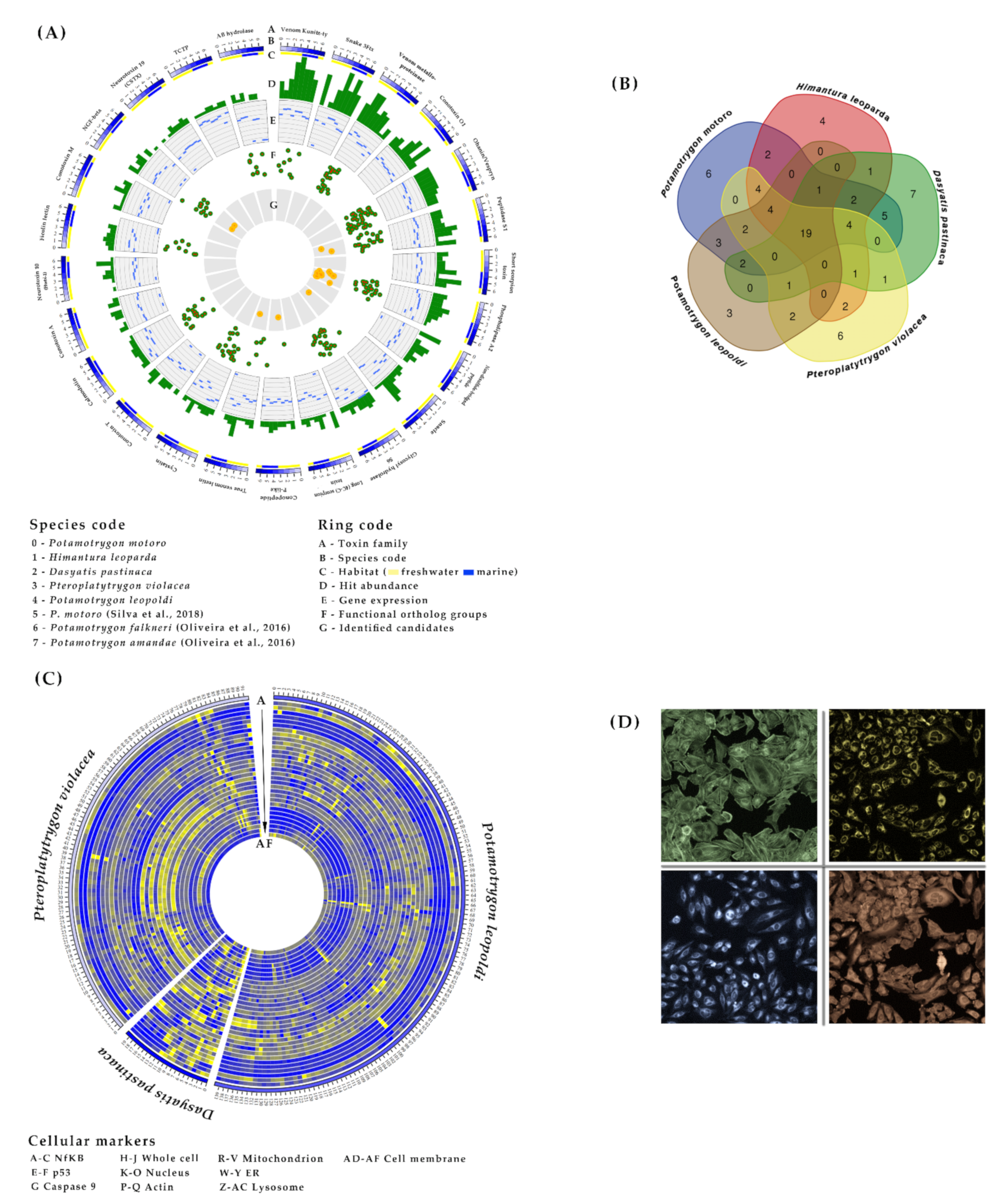 Marinedrugs 20 00027 g002