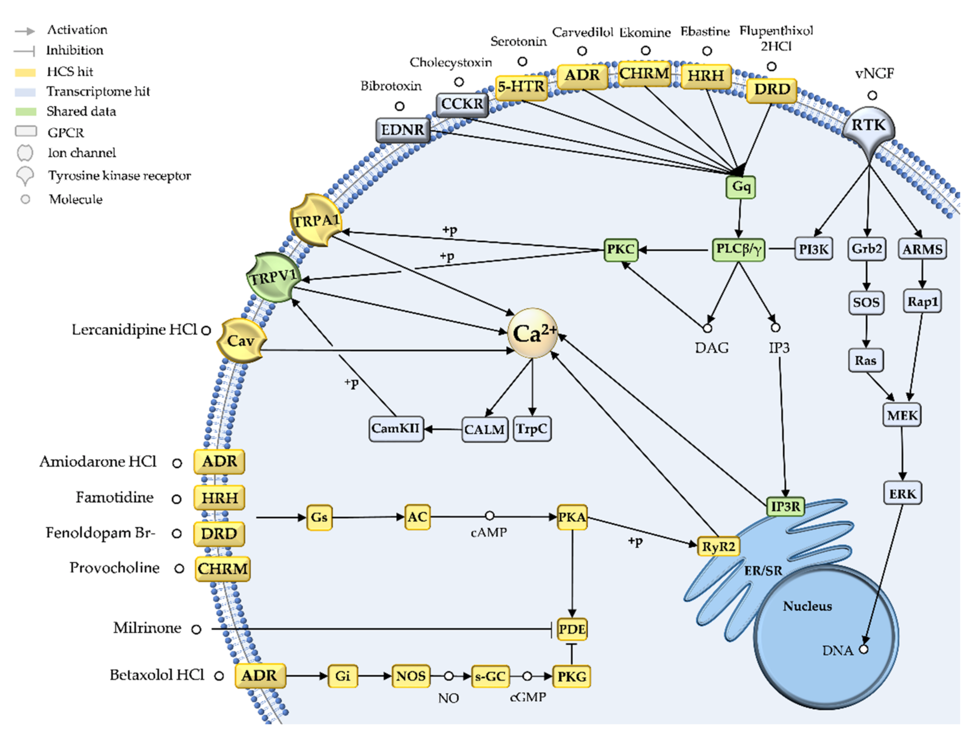 Marinedrugs 20 00027 g003