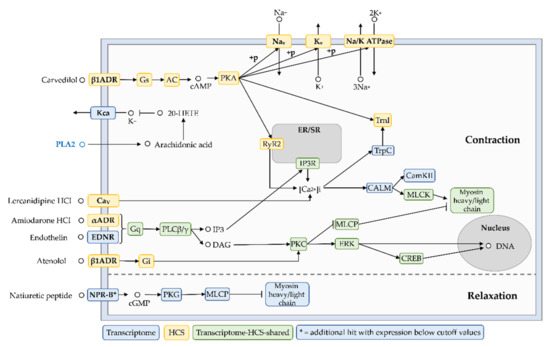 Marinedrugs 20 00027 g0a2 550