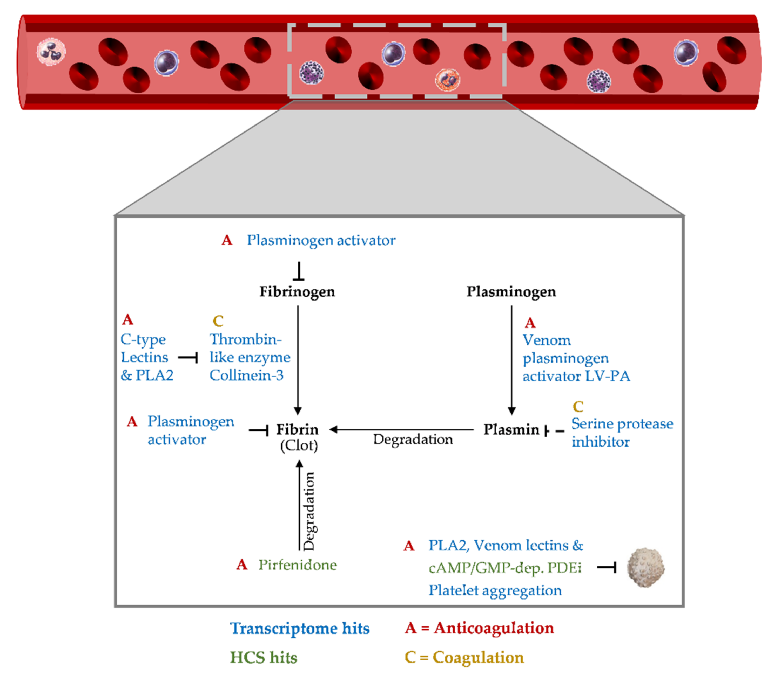 Marinedrugs 20 00027 g0a3