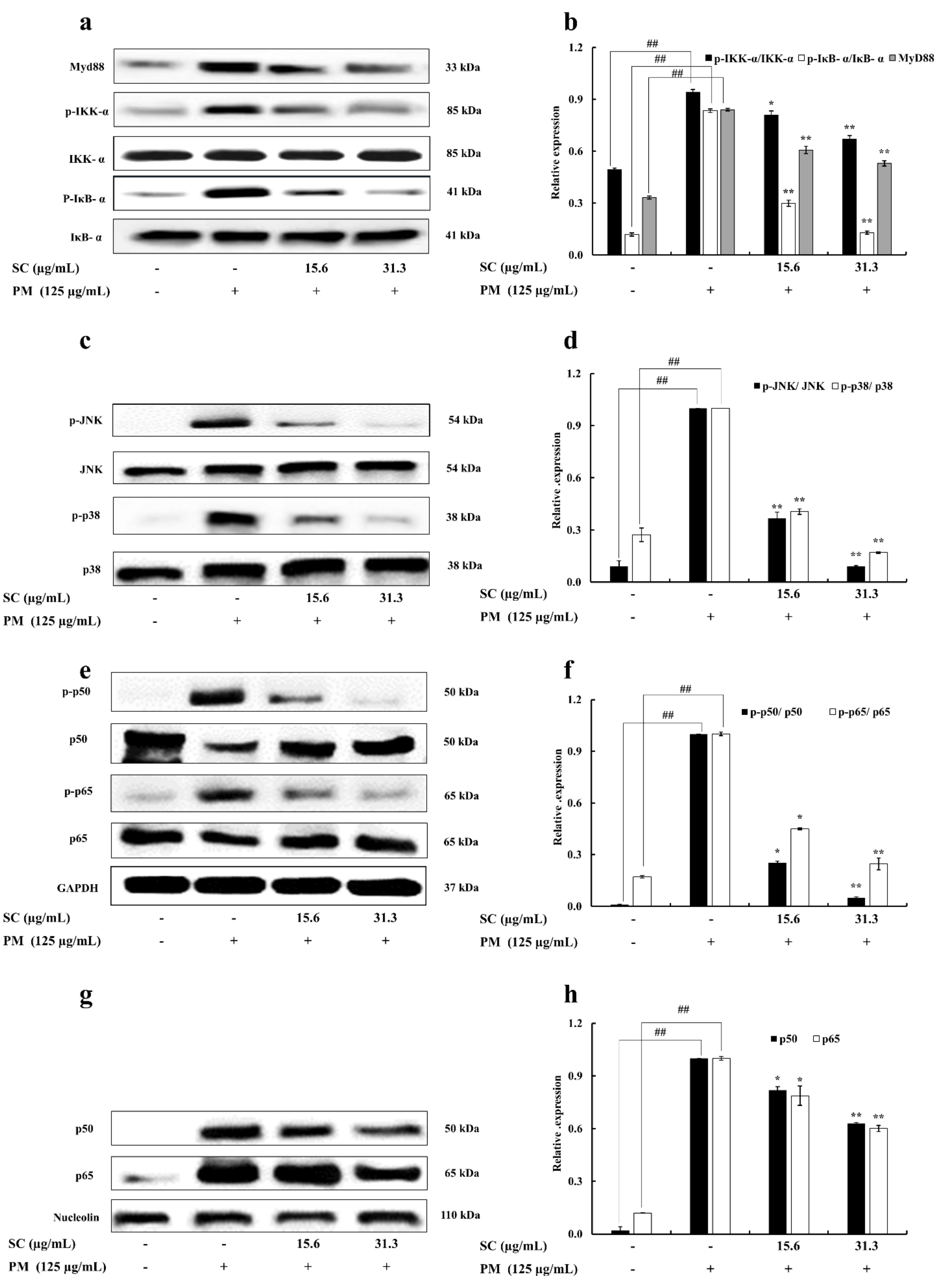 Marinedrugs 20 00028 g004