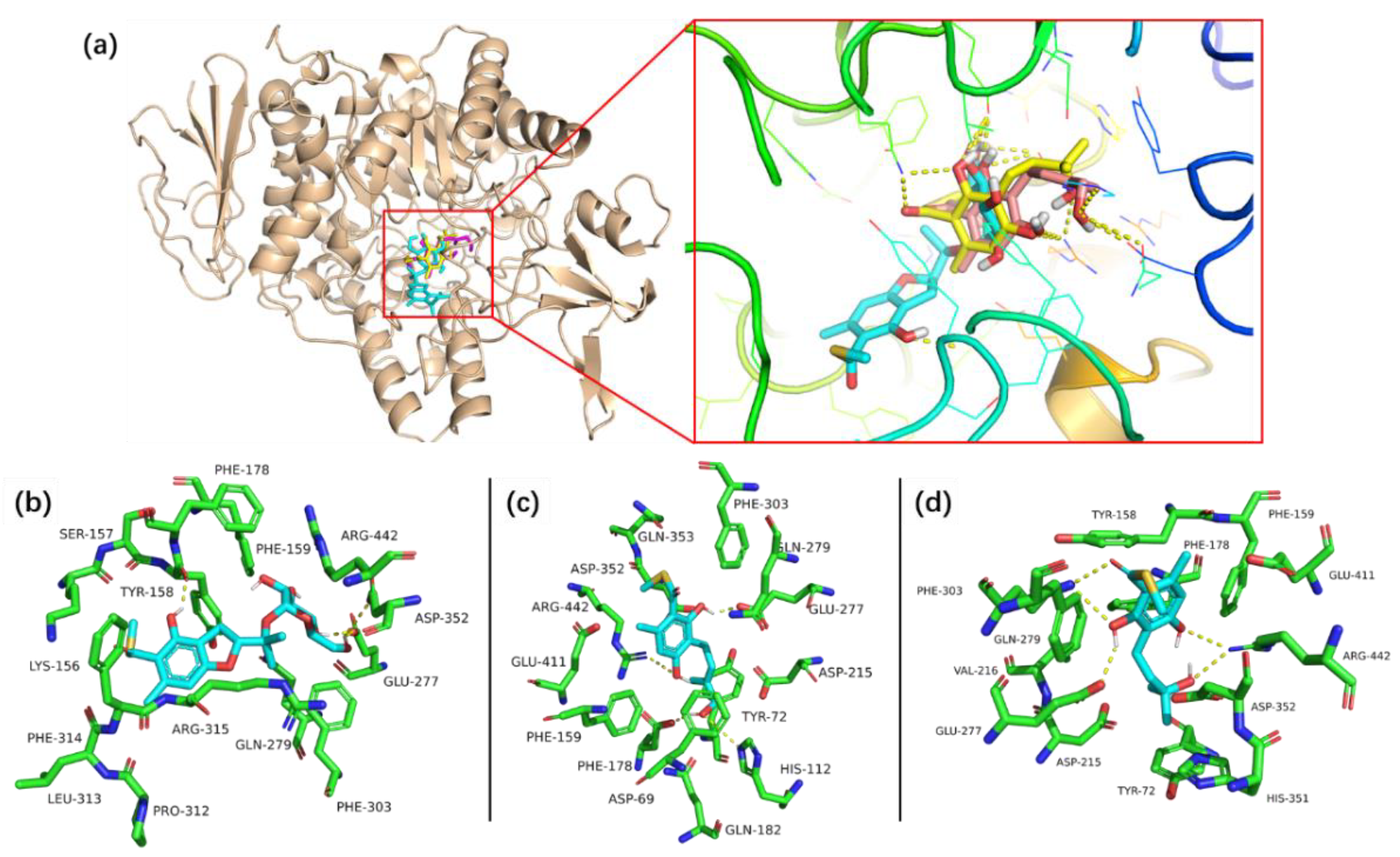 Marinedrugs 20 00033 g005