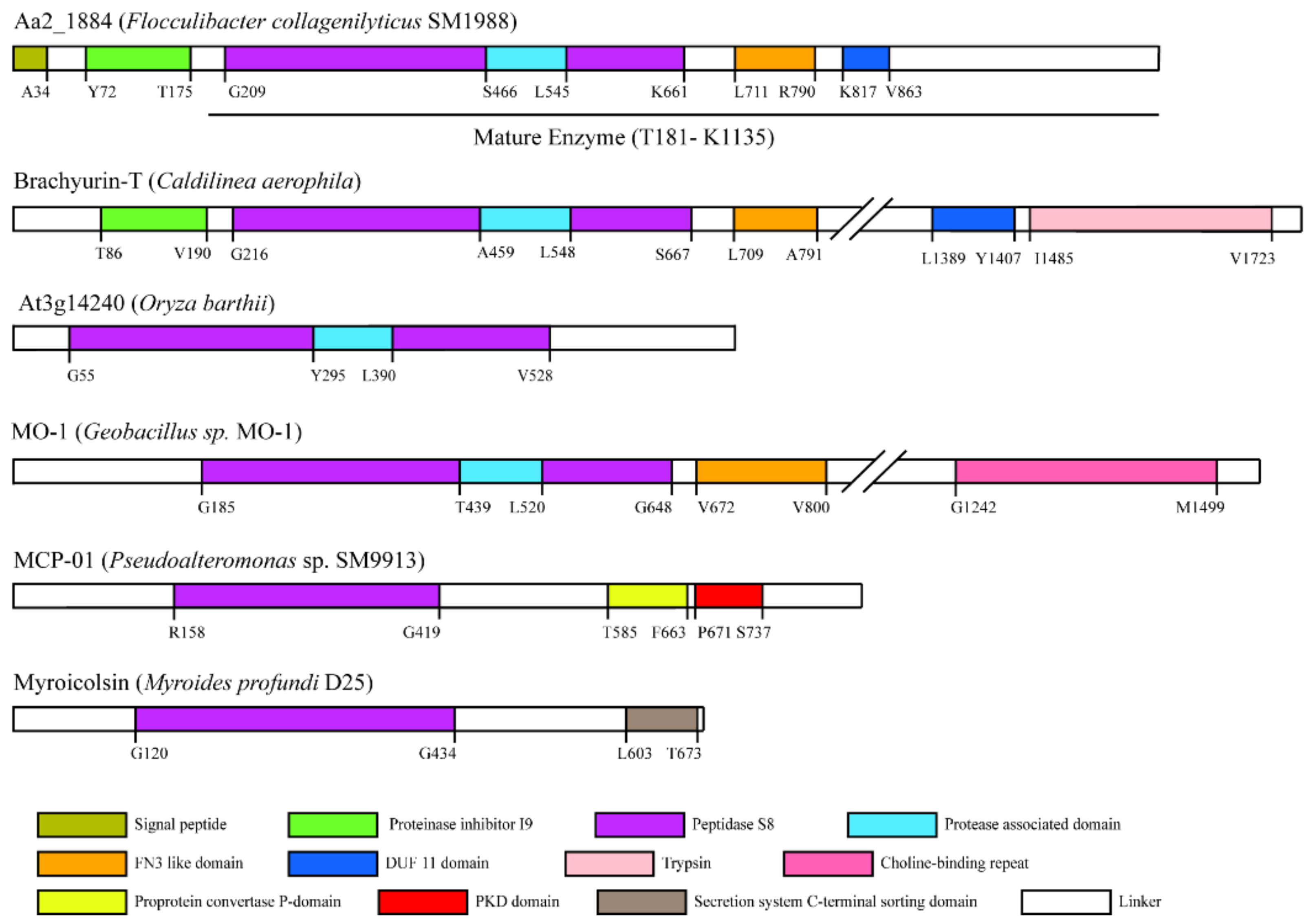 Marinedrugs 20 00048 g001