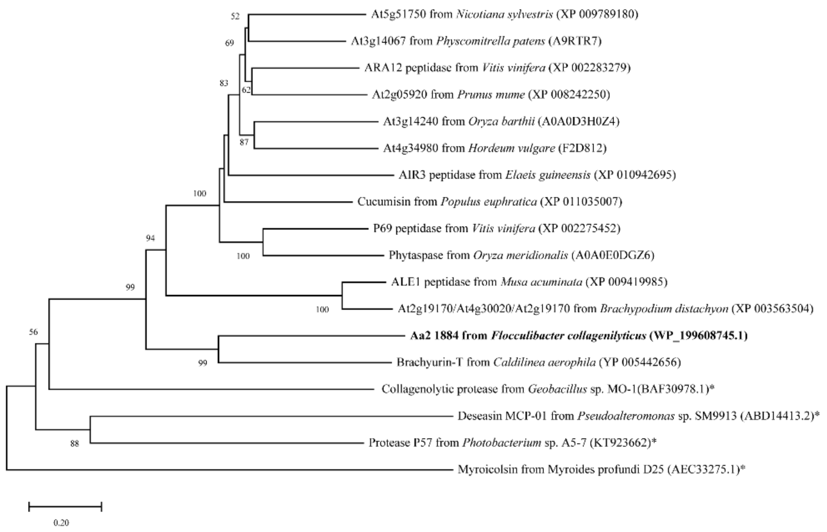 Marinedrugs 20 00048 g003