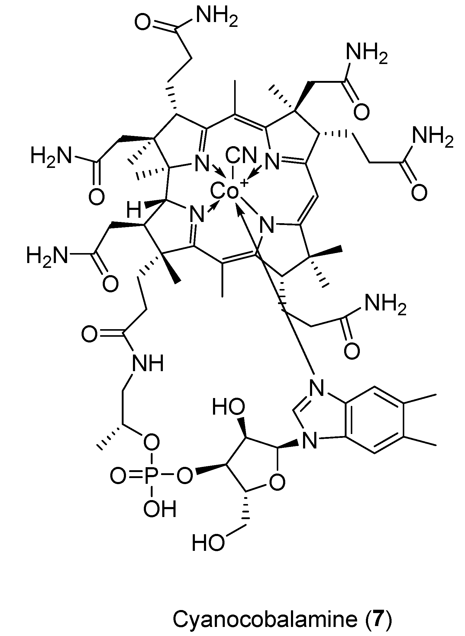 Marinedrugs 20 00052 g002