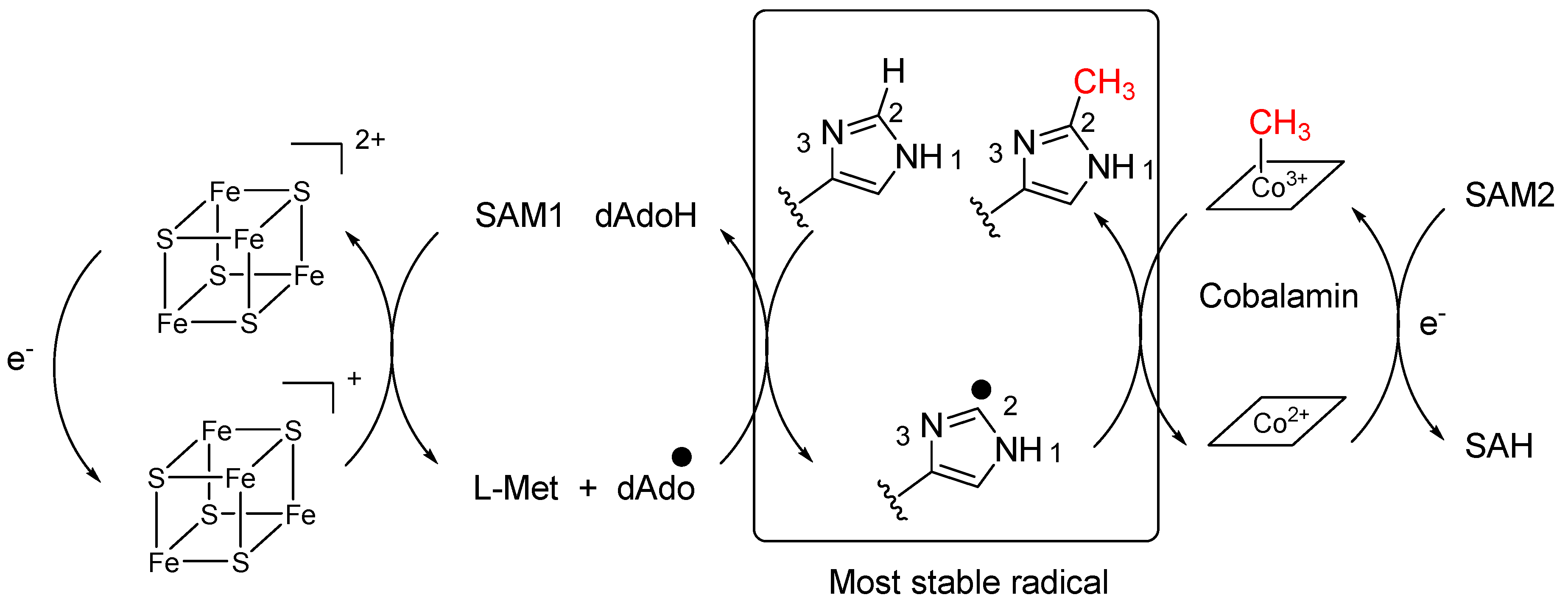 Marinedrugs 20 00052 sch001