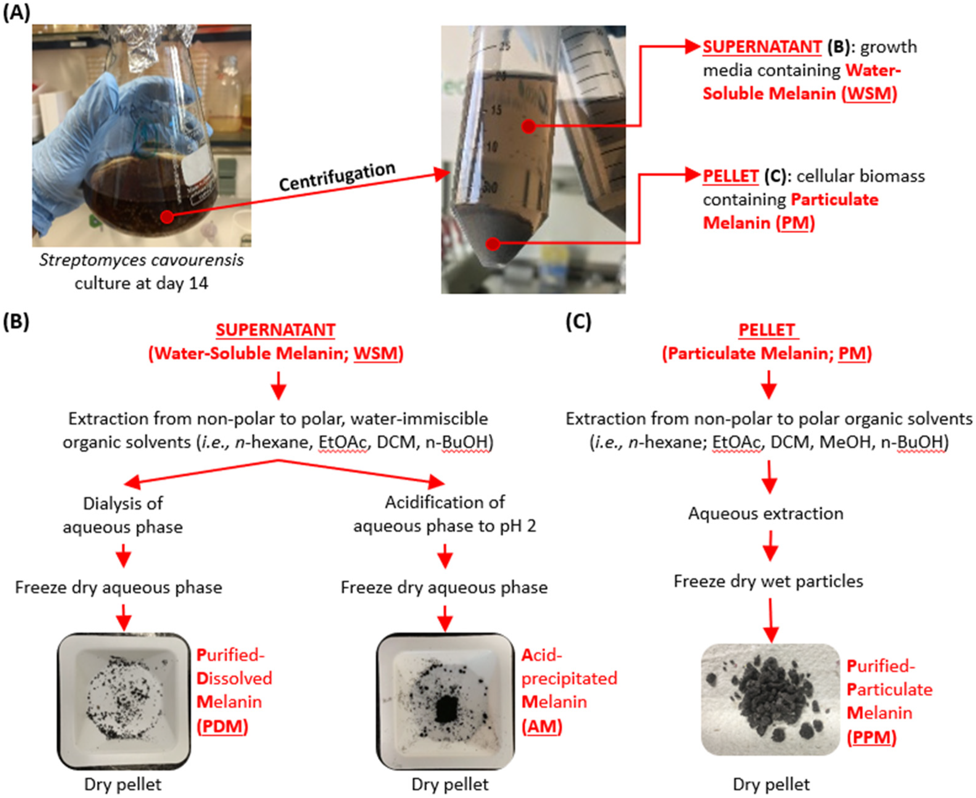 Marinedrugs 20 00054 g003