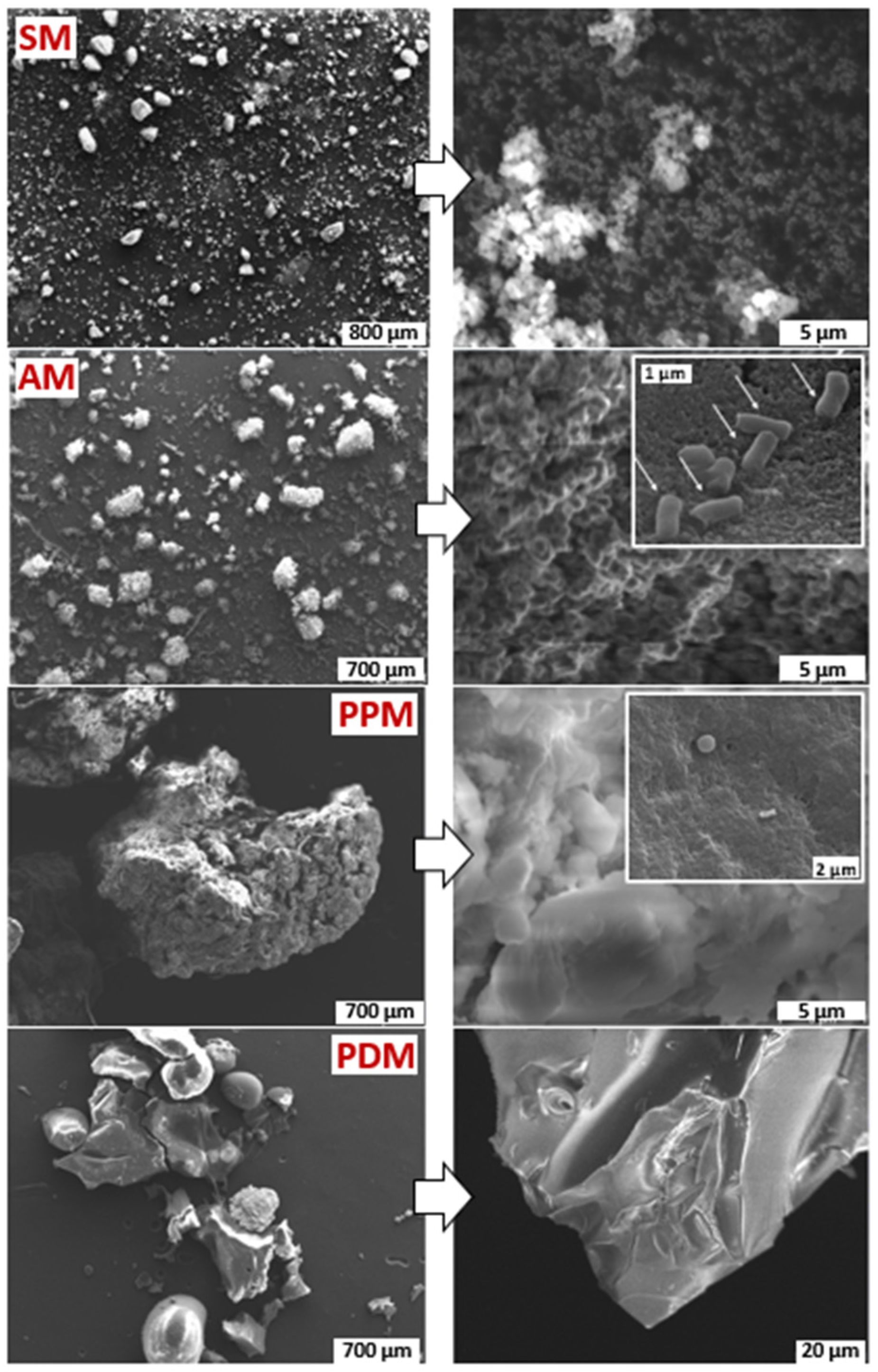 Marinedrugs 20 00054 g004