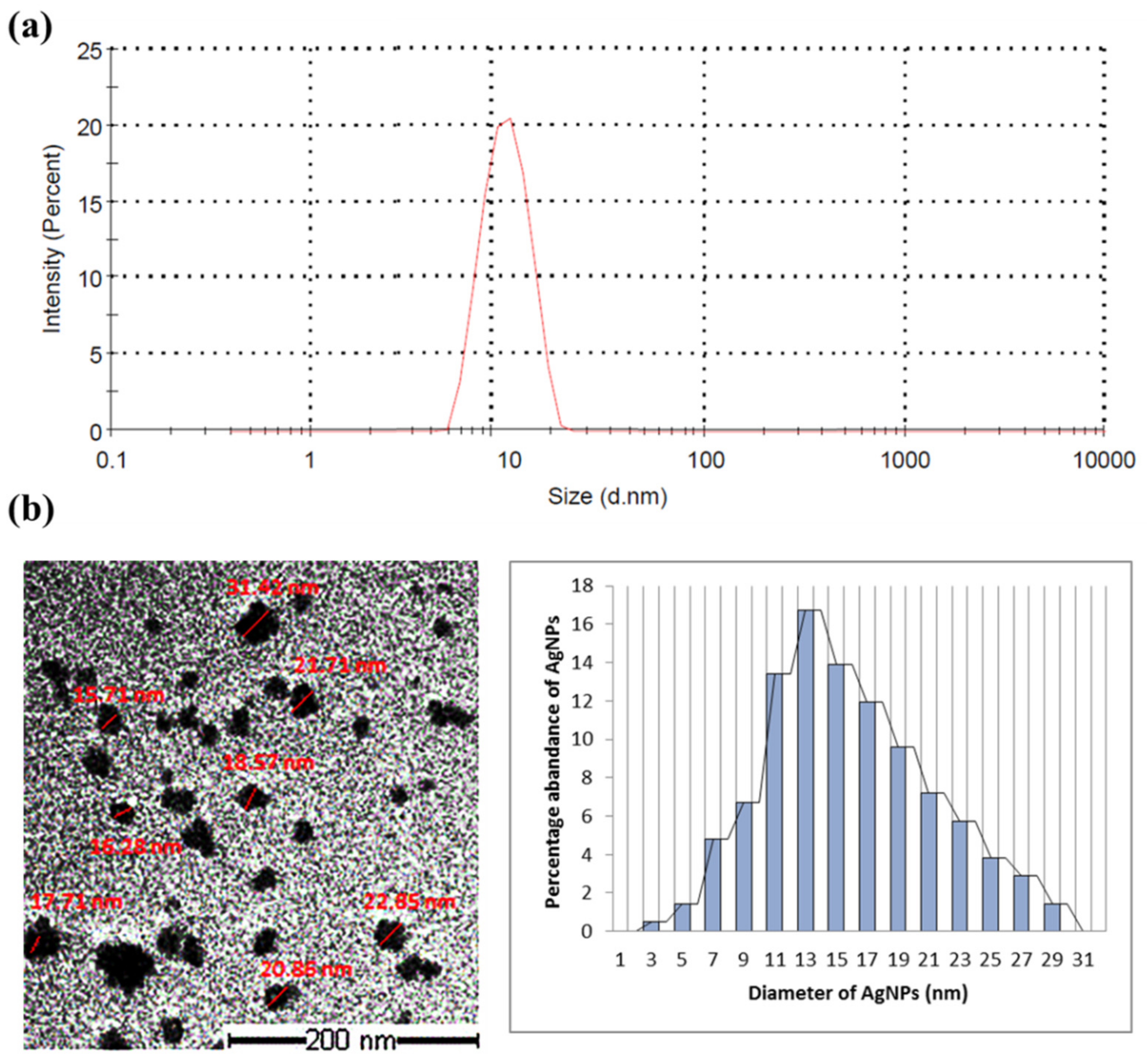 Marinedrugs 20 00056 g001