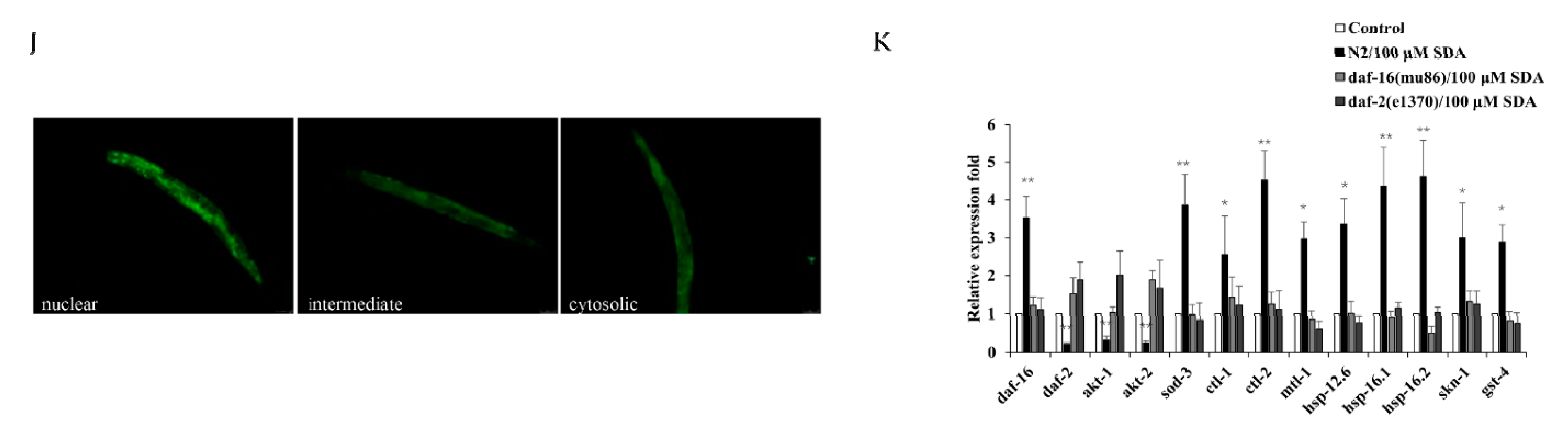 Marinedrugs 20 00059 g003b