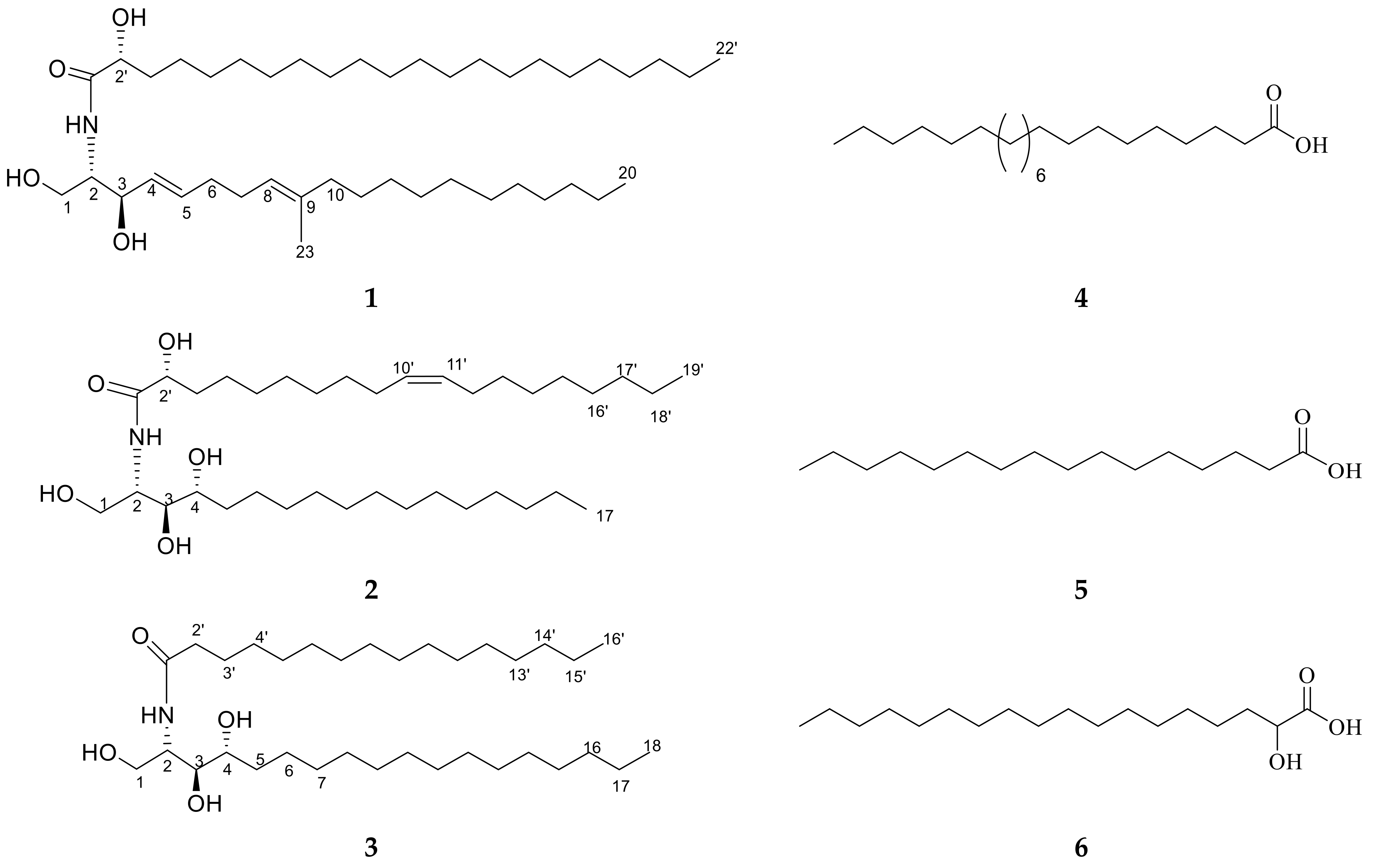 Marinedrugs 20 00063 g002 Marinedrugs 20 00063 g002