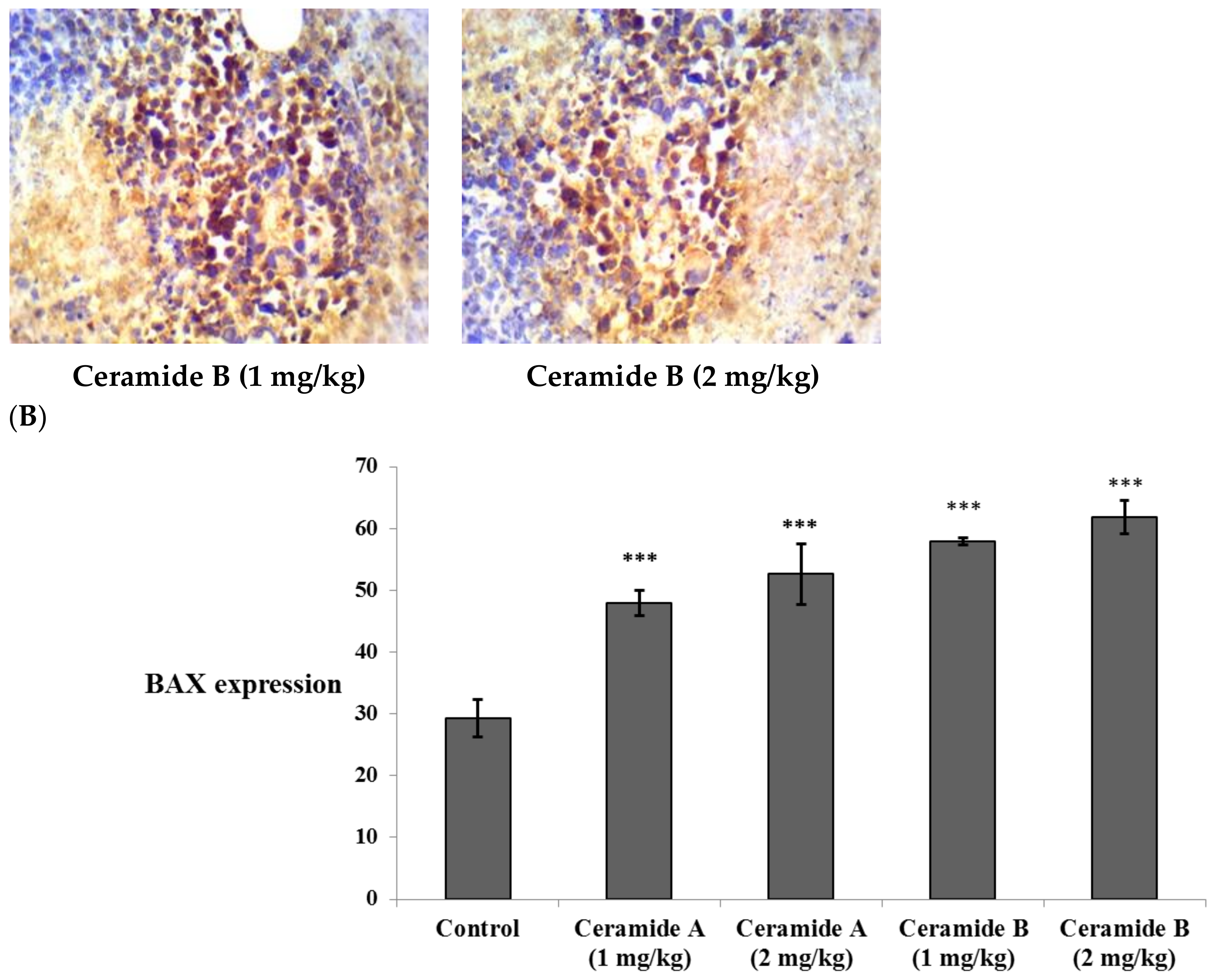 Marinedrugs 20 00063 g007b Marinedrugs 20 00063 g007b