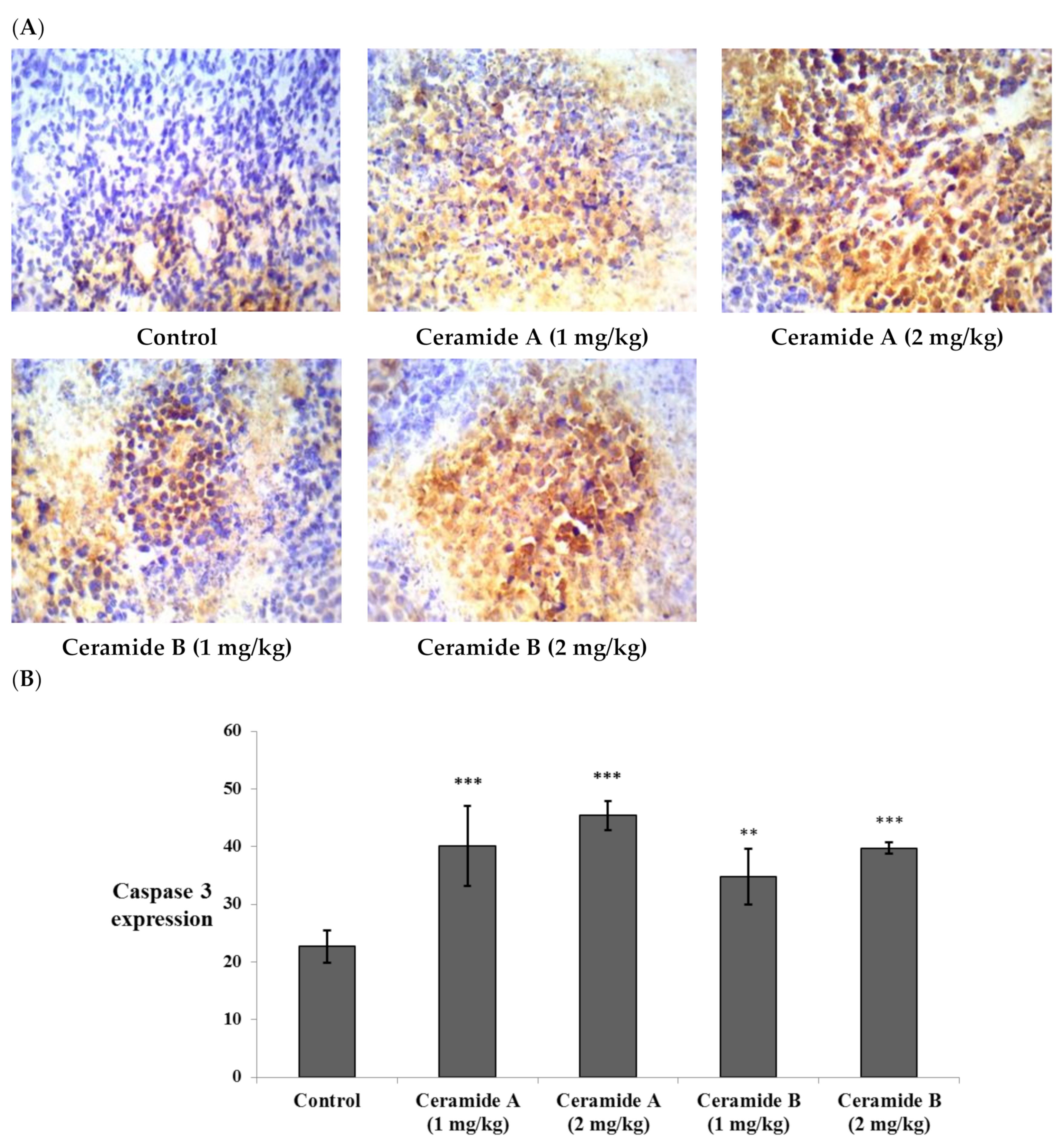 Marinedrugs 20 00063 g008 Marinedrugs 20 00063 g008