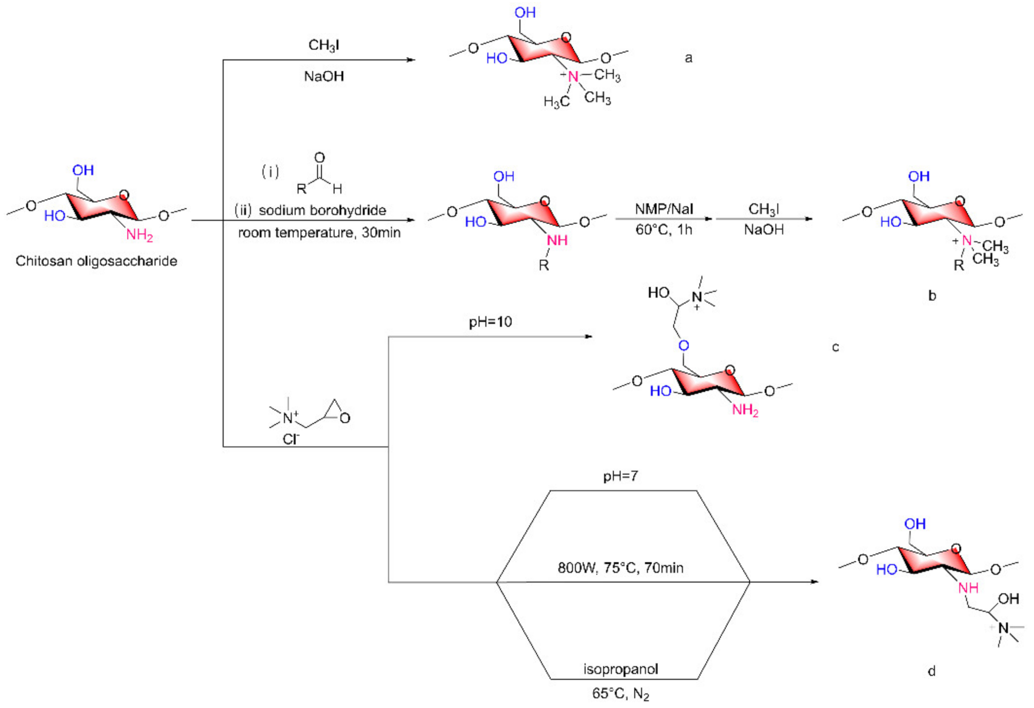 Marinedrugs 20 00069 g004 Marinedrugs 20 00069 g004