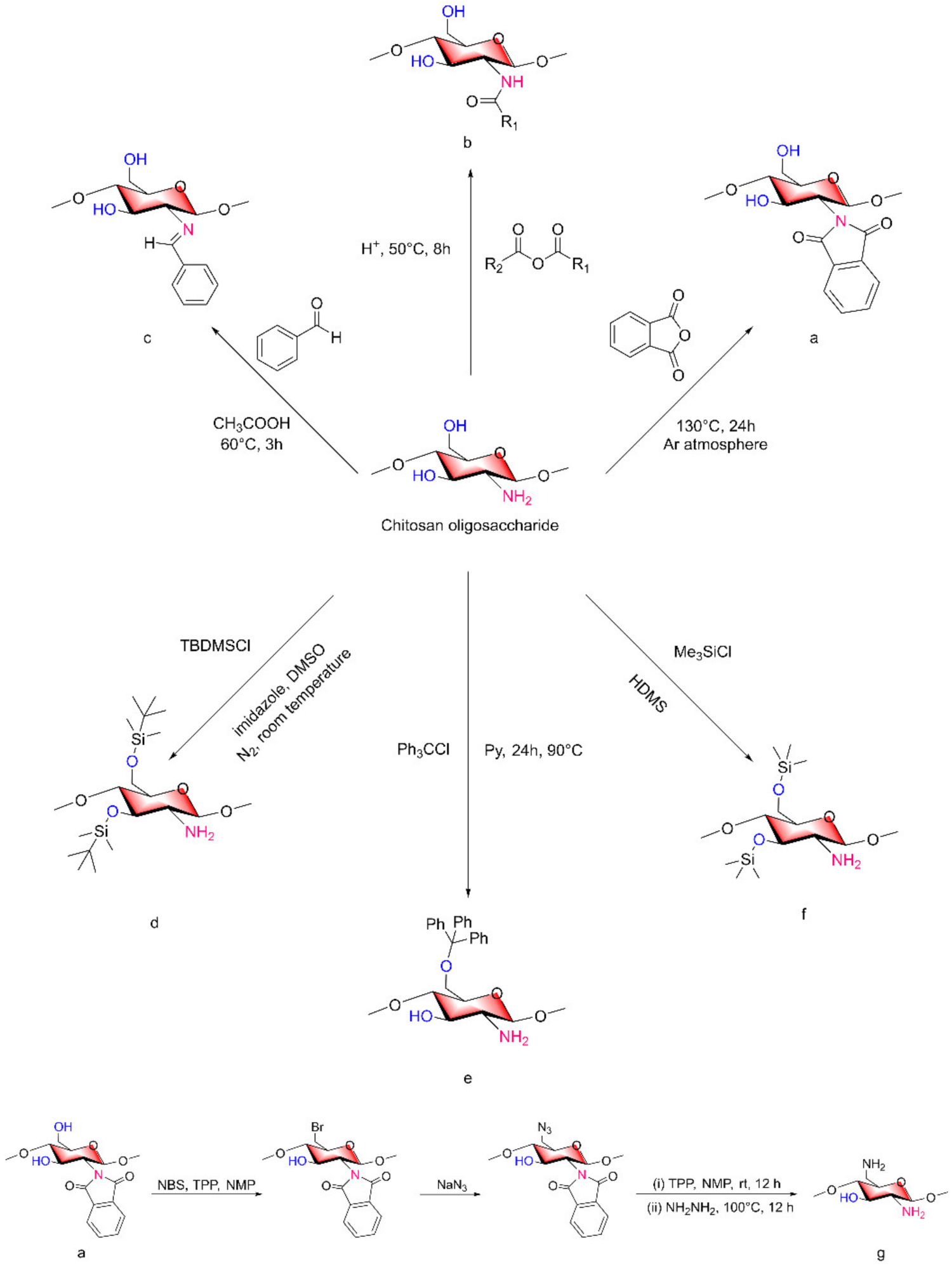 Marinedrugs 20 00069 g006 Marinedrugs 20 00069 g006