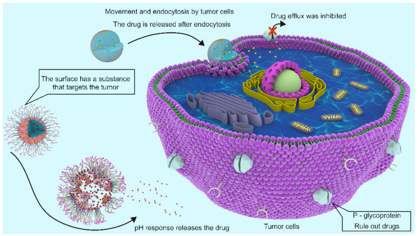 Marinedrugs 20 00069 g010 Marinedrugs 20 00069 g010