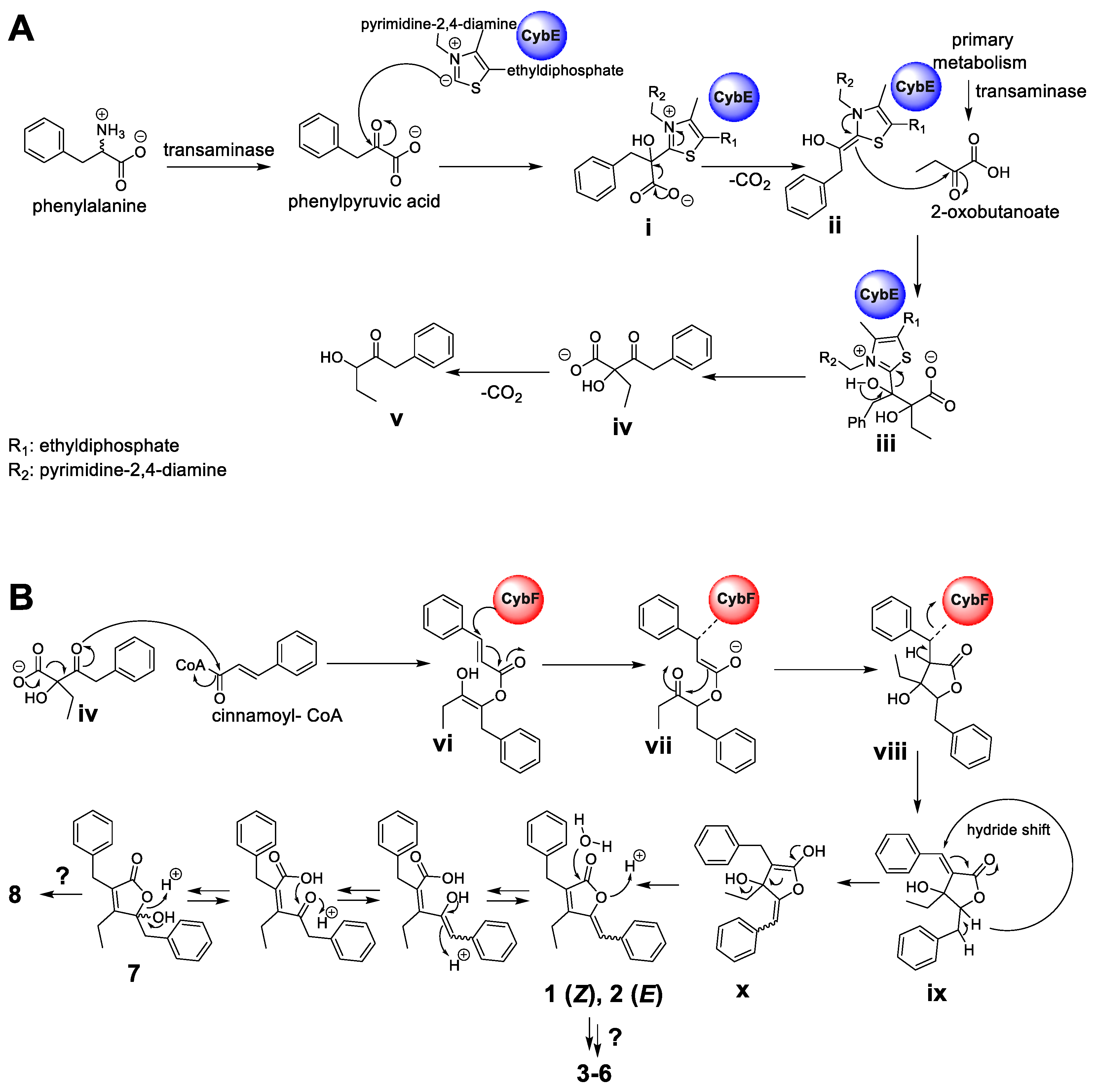 Marinedrugs 20 00072 g006