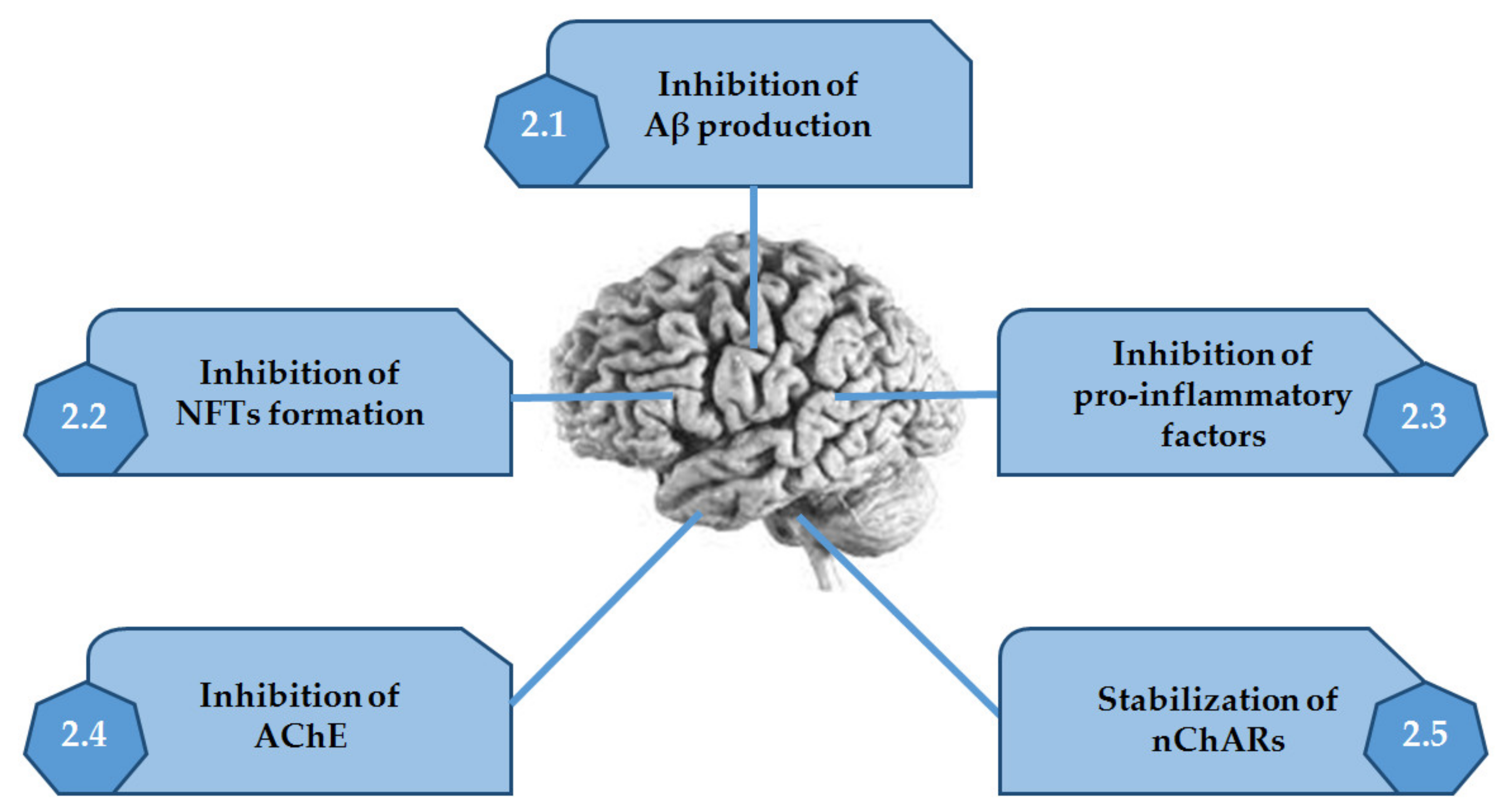Marinedrugs 20 00075 g002