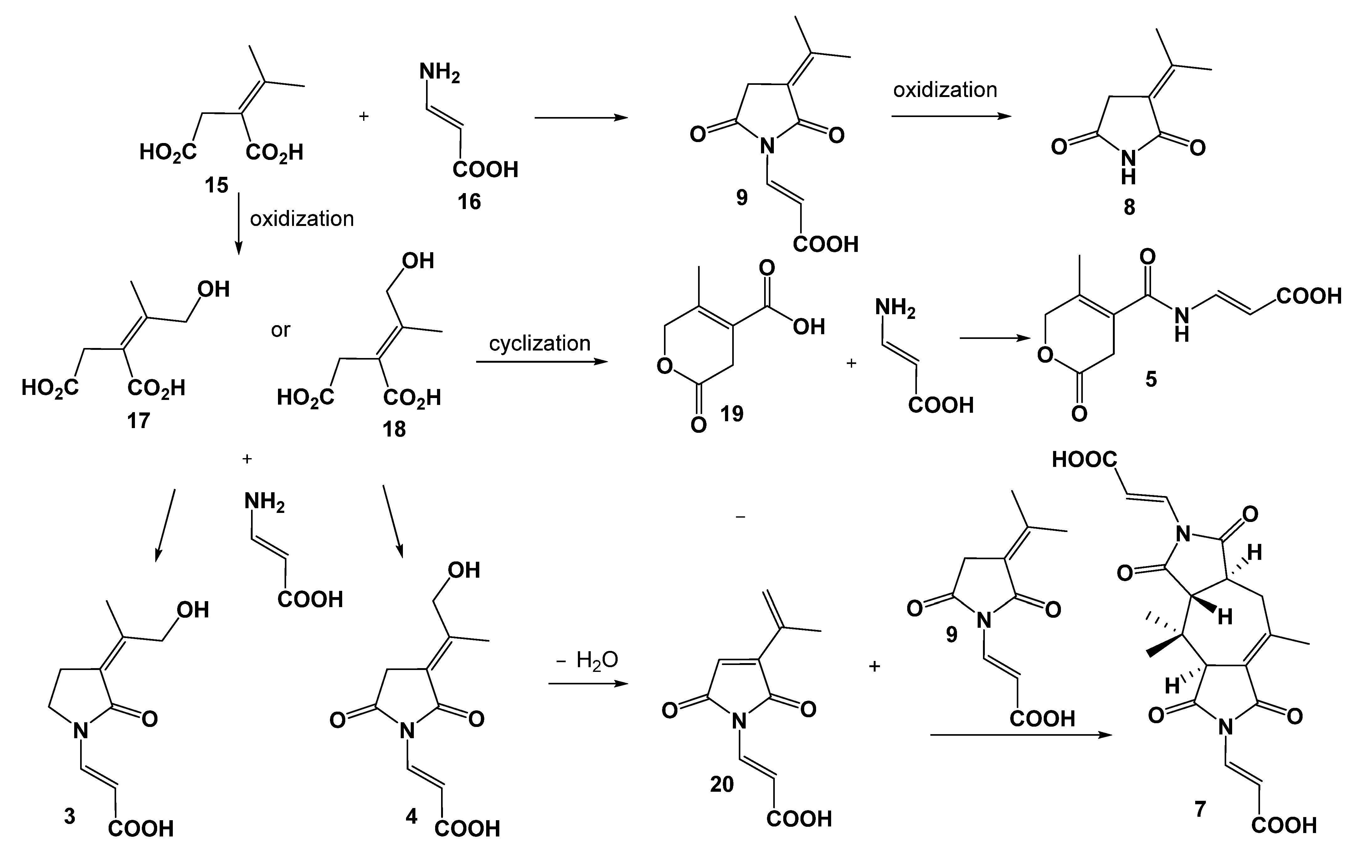 Marinedrugs 20 00079 g005