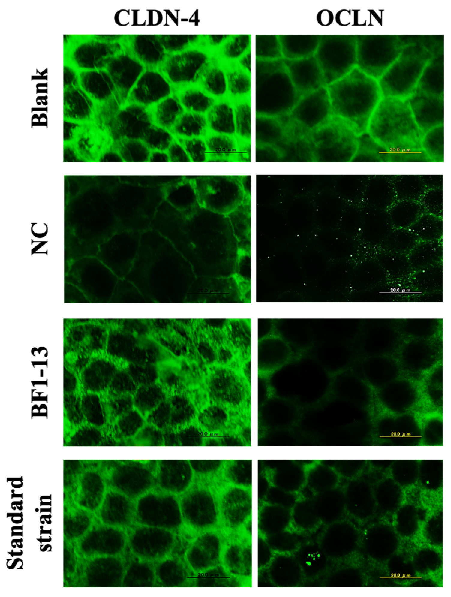 Marinedrugs 20 00087 g003