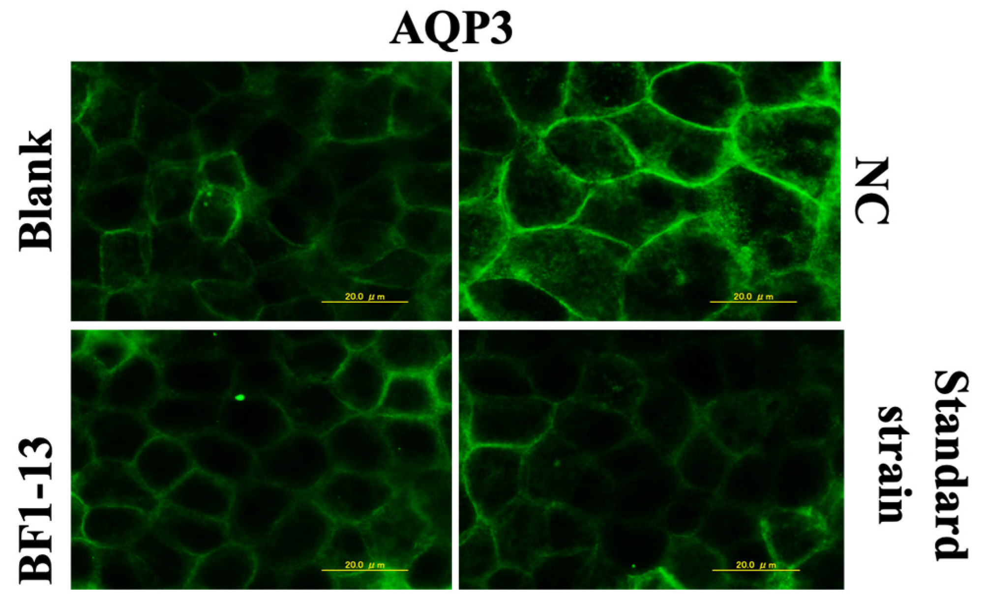 Marinedrugs 20 00087 g005