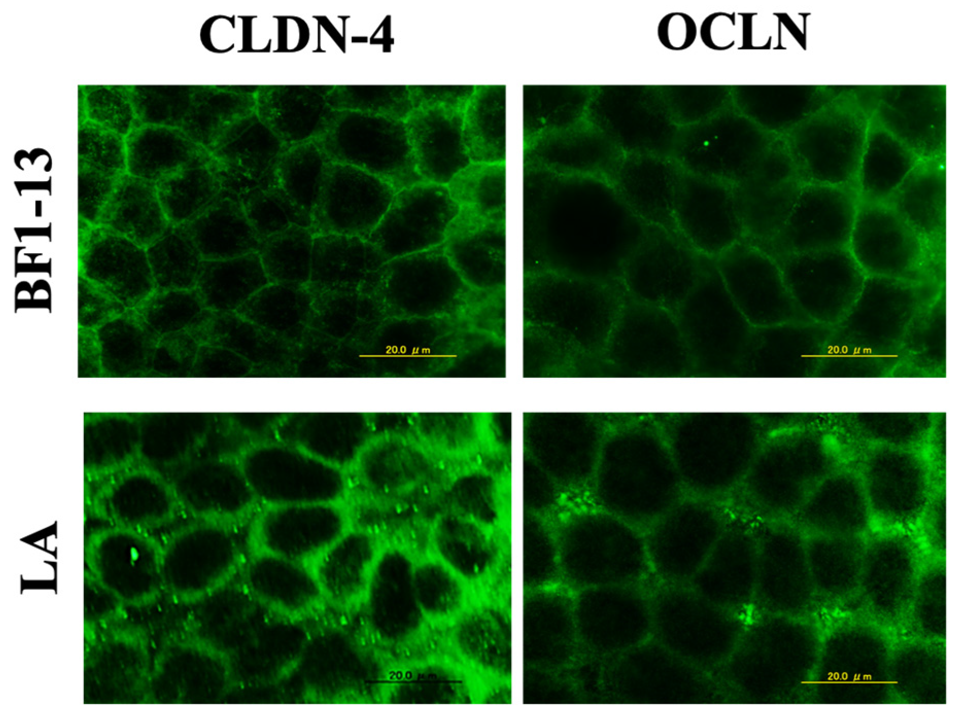 Marinedrugs 20 00087 g008