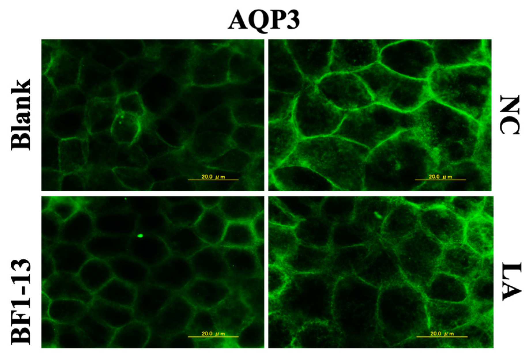 Marinedrugs 20 00087 g010