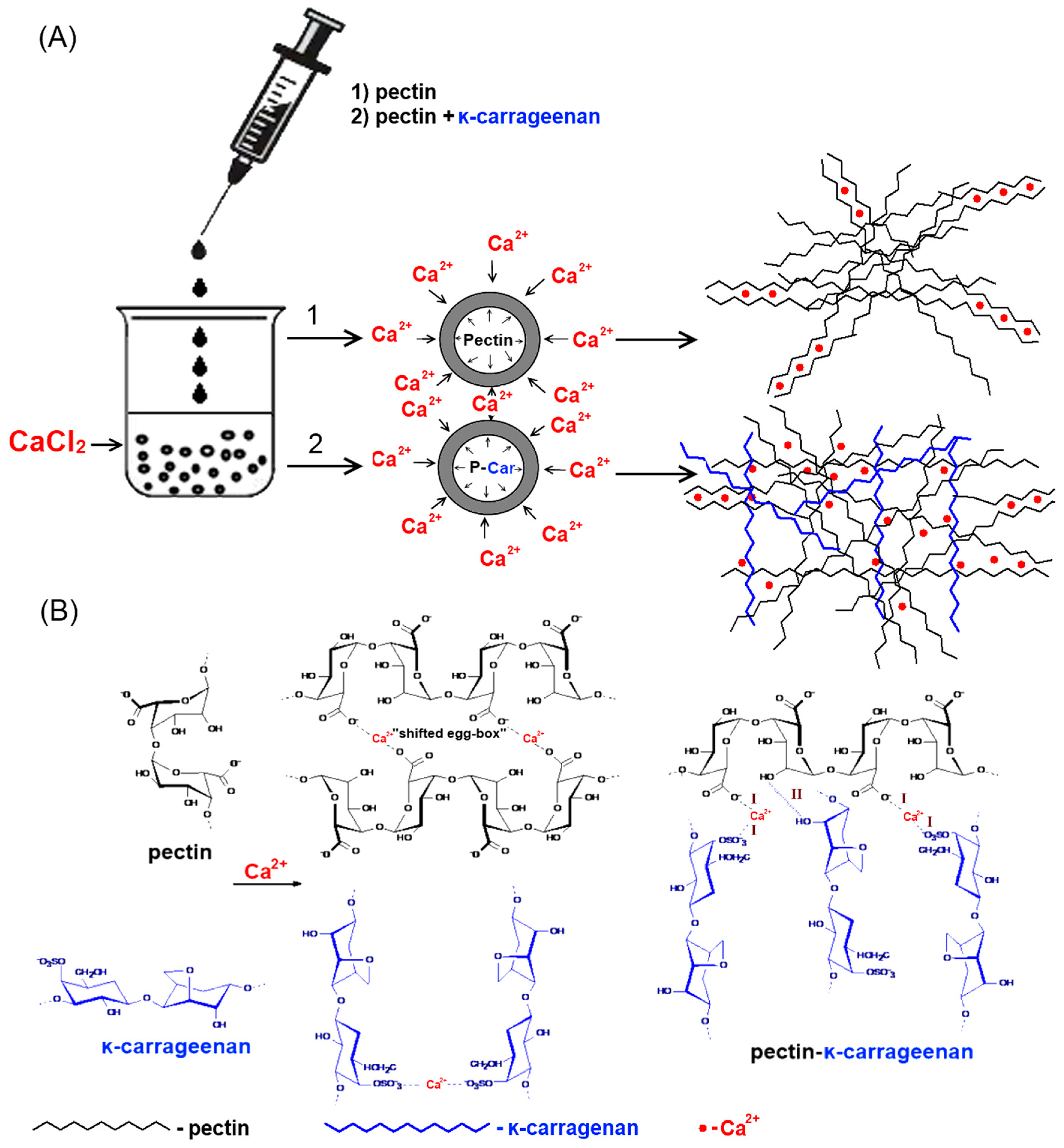 Marinedrugs 20 00094 g002